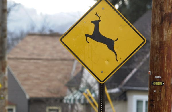 Why deer crossing signs have disappeared from Minnesota highways