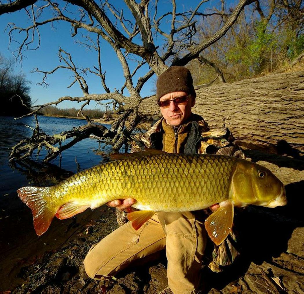 Corey Geving of Minneapolis with a greater redhorse.