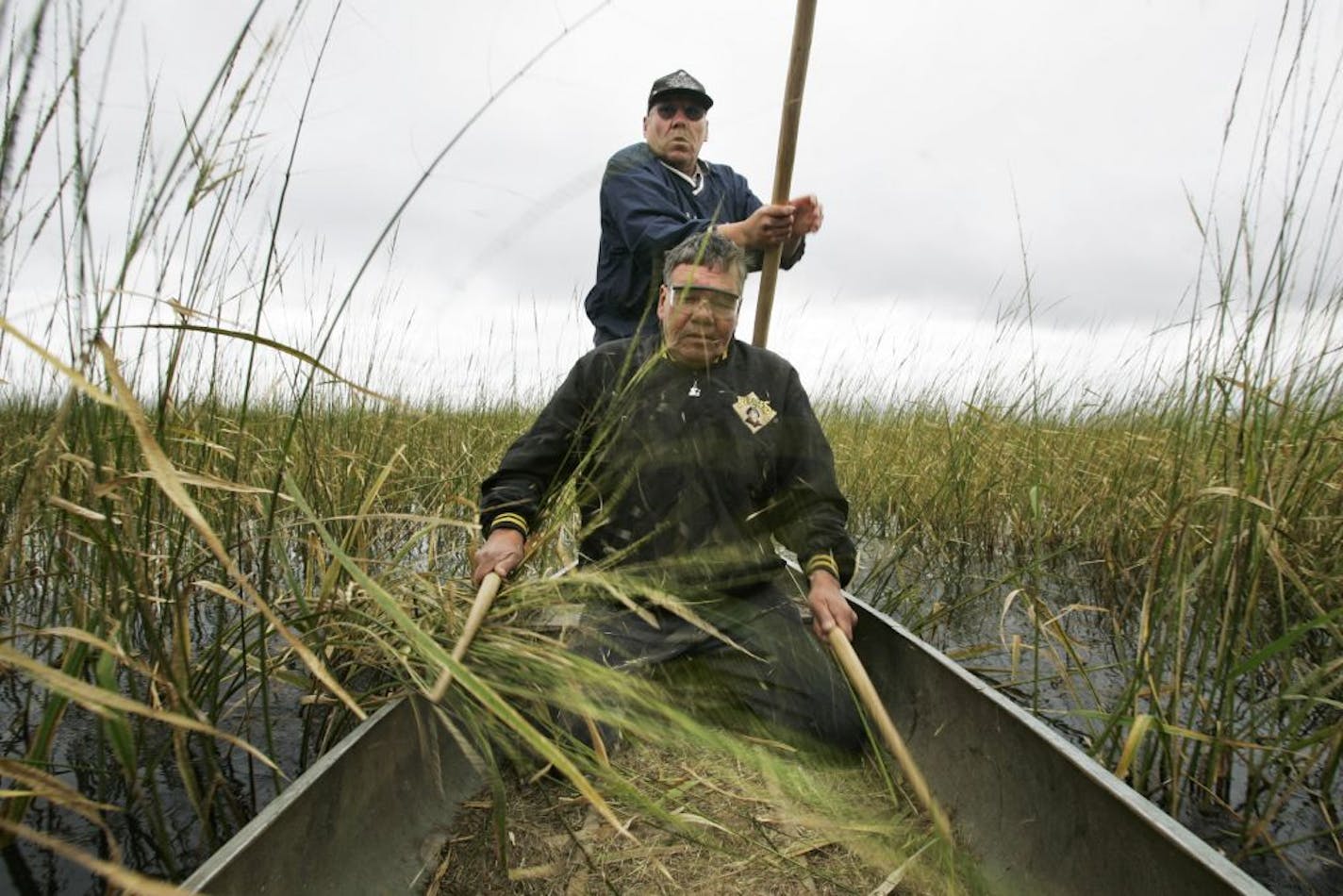 Richard Tsong-Taatarii/Star Tribune White Earth, MN;9/28/05;left to right:At the White Earth Land Recovery Project facility, brothers Wayne(sitting) and Gordon Stevens harvest some wild rice on lower Rice Lake. This was one of the last harvesting days of the season.