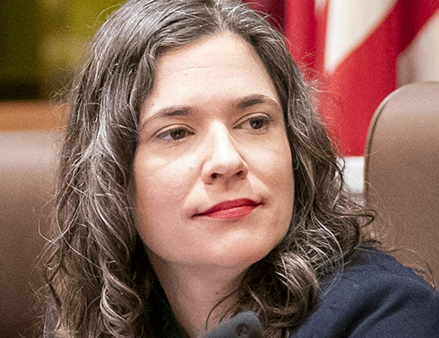 City Council president Lisa Bender, center, and other council members vote on the 2040 Comprehensive Plan. ] LEILA NAVIDI ¥ leila.navidi@startribune.com BACKGROUND INFORMATION: The Minneapolis City Council votes to approve the 2040 Comprehensive Plan during a council meeting on Friday, December 7, 2018.