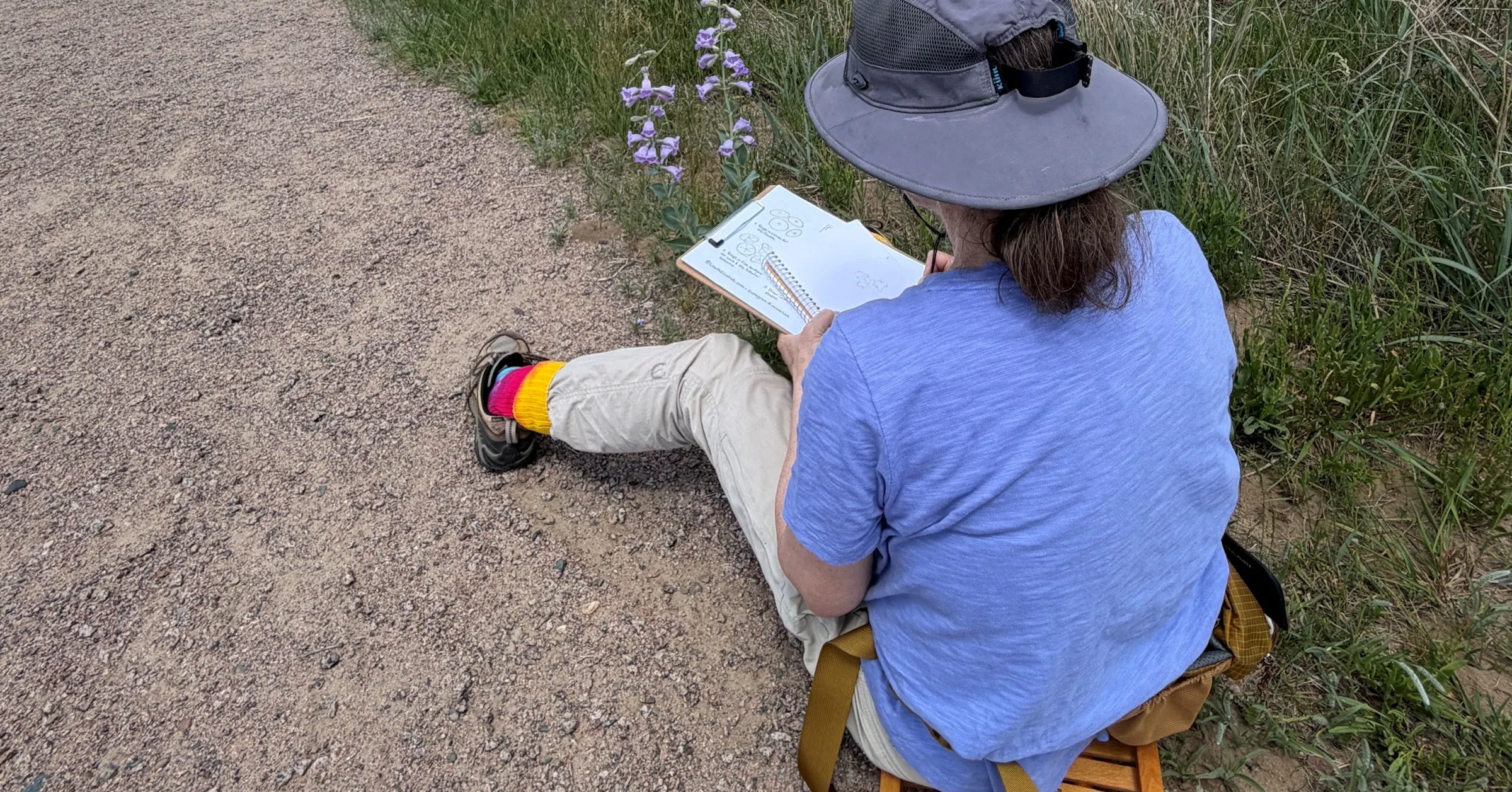 More people are turning to nature journaling. Here's why.