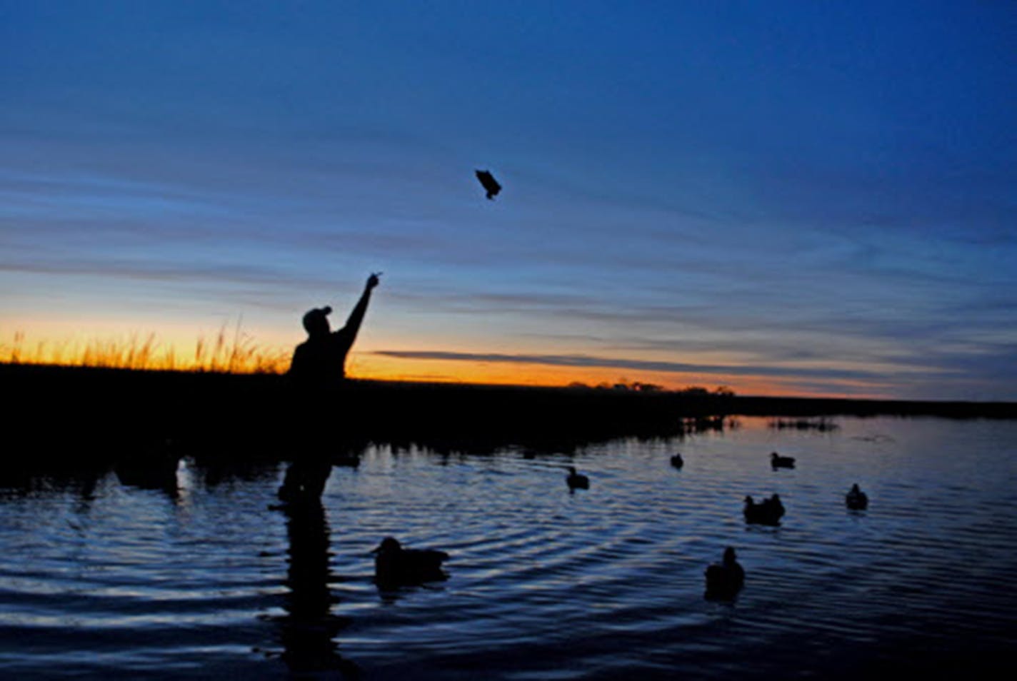 "It's important to remember that a plan is not an outcome," DNR Commissioner Sarah Strommen said. "We want [the new plan] to be more action oriented ... and to track the work we're doing.''