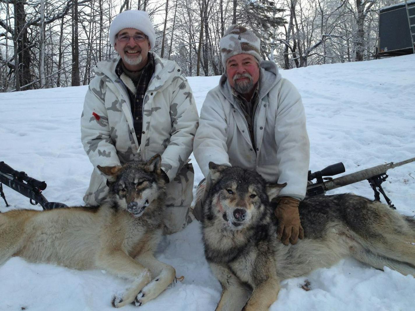 Mark LeDoux, 53, of Detroit Lakes (left), and Barry Arnold, 61, of Osage, bagged these wolves in December near Detroit Lakes within an hour of each other.