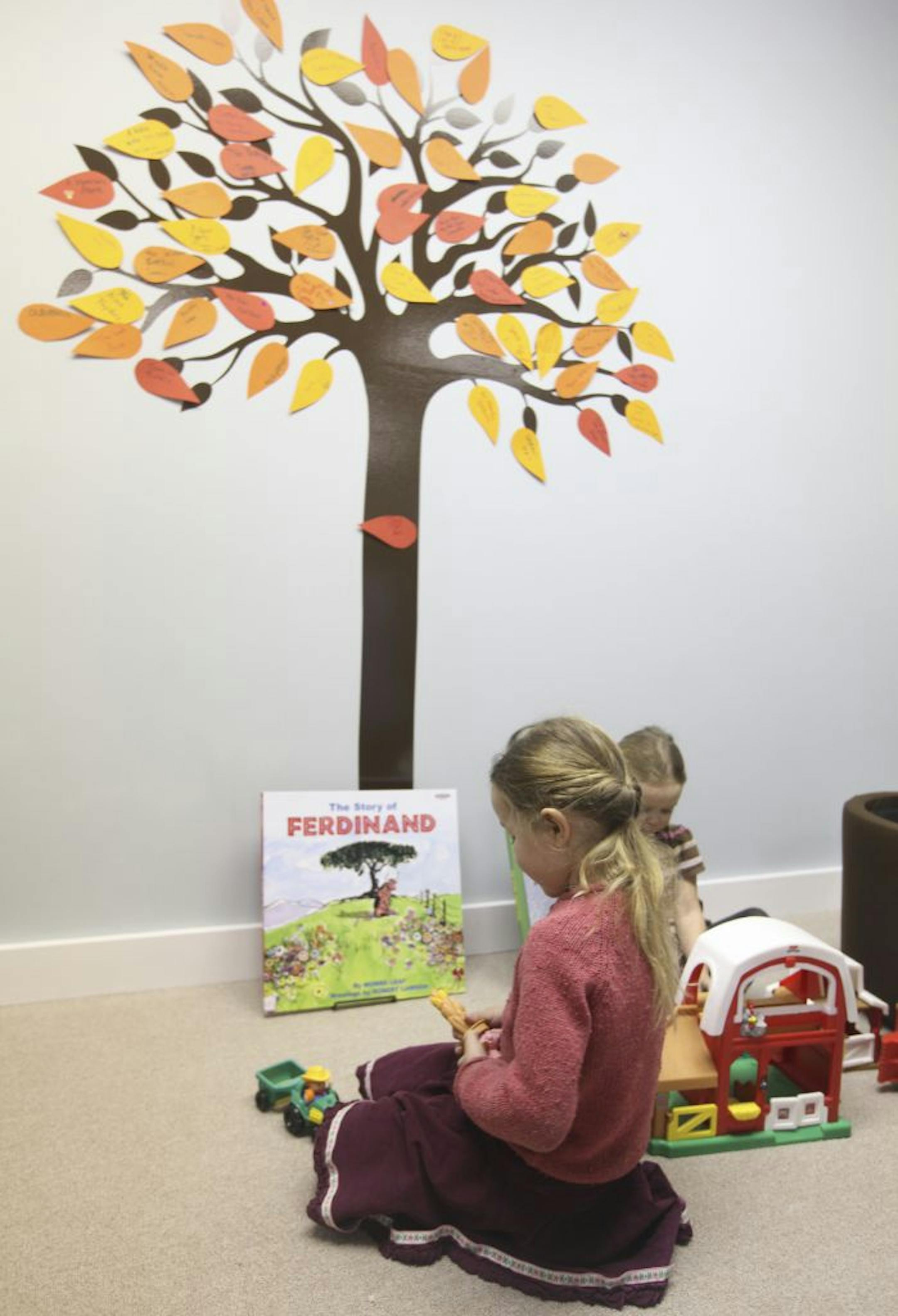 Bothilde Dowell, 5, and her sister Una, 3, played with toys while their mother, Chiara (not pictured) answered emails for their CSA Little Flower Farms at the Marine St. Croix Library,in Marine on St. Croix Min., Tuesday, February 7, 2012.