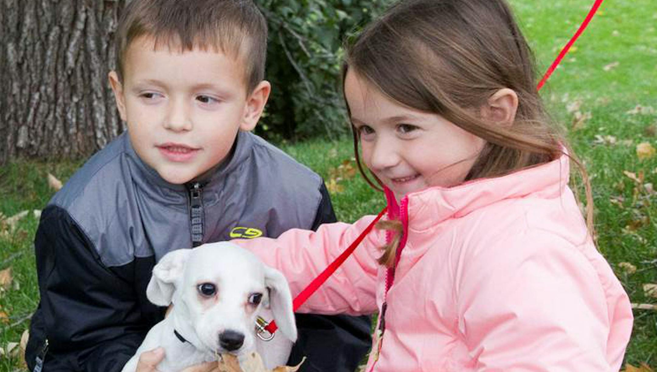 COURTESY ANIMAL HUMANE SOCIETY. This is Zachary and Kaityln Cantazaro, who along with their father Anthony (of Chaska) adopted one of the Pine River puppies. This puppy is a mixed breed named Chichi.