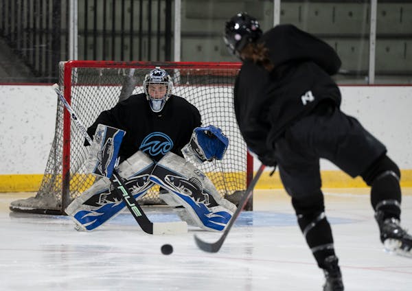 Whitecaps goalie Amanda Leveille is among the players who could have a future in the new professional women’s league.