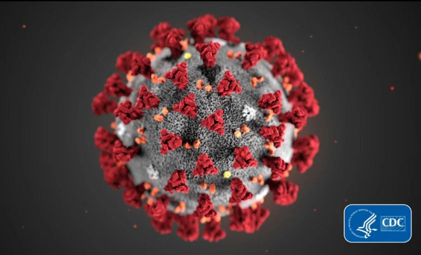 A COVID-19 particle is pictured in this image provided by the Centers for Disease Control and Prevention.