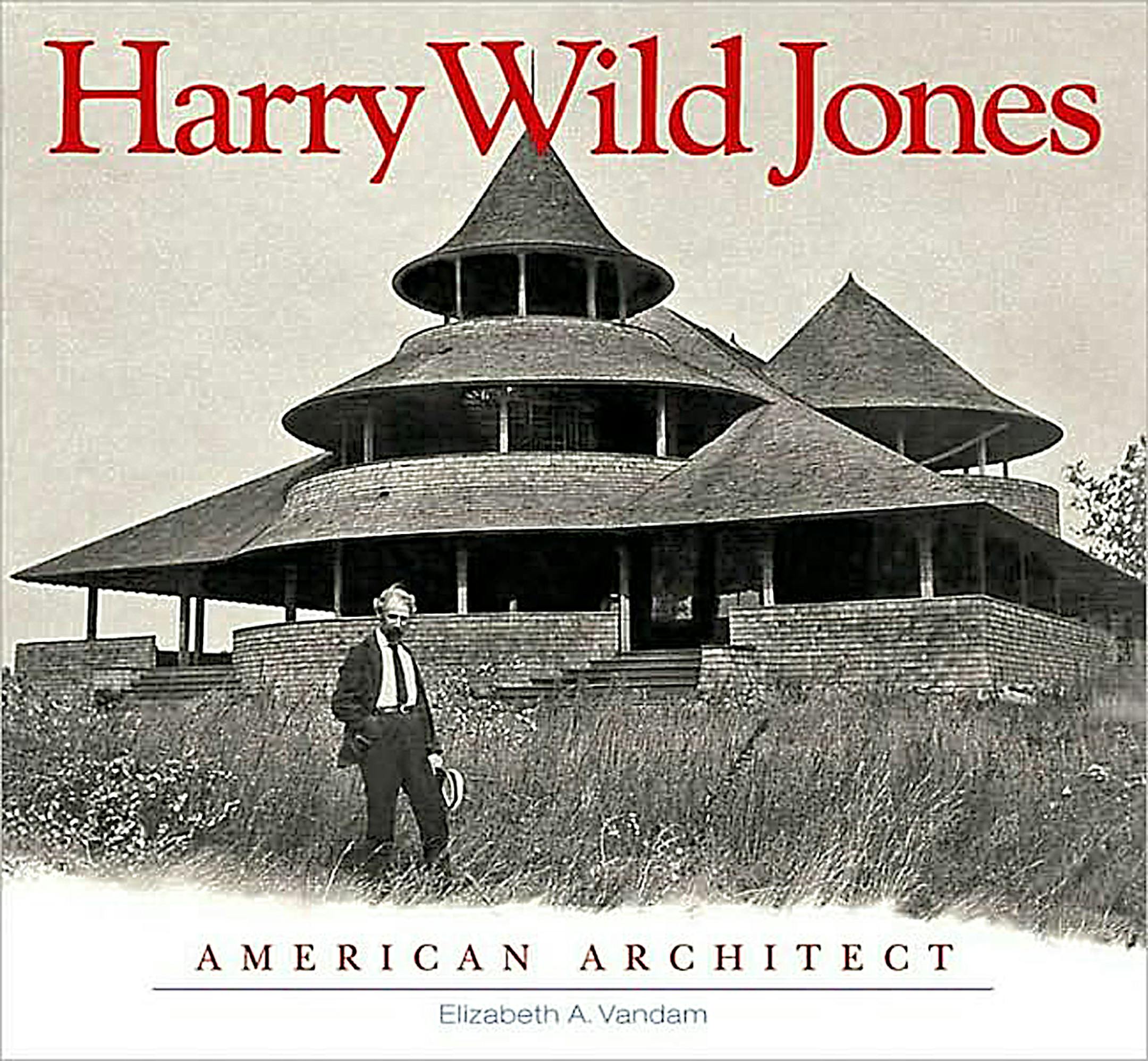 Harry Wild Jones by Elizabeth A. Vandam
