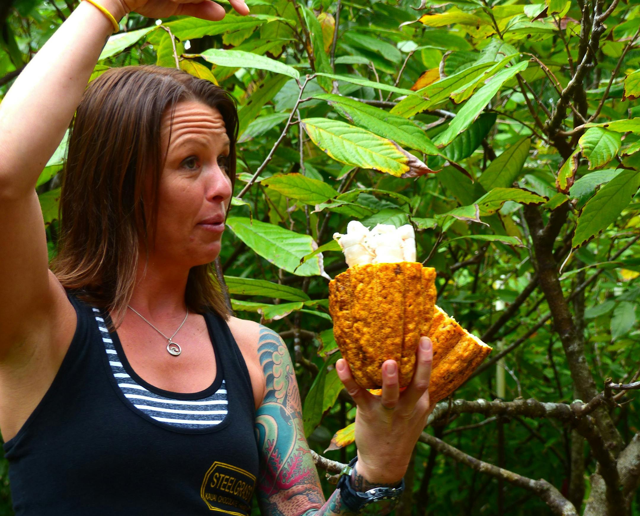 Lydgate Farms Tour guide Andrea Kiser shows off the inside of a cacao fruit. (Daniel Beekman/Seattle Times/TNS) ORG XMIT: 1240654
