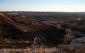 Ranch lands the Smokehouse Creek fire scorched in Canadian, Texas, pictured March 1, 2024. Xcel Energy could face hundreds of millions of dollars of c