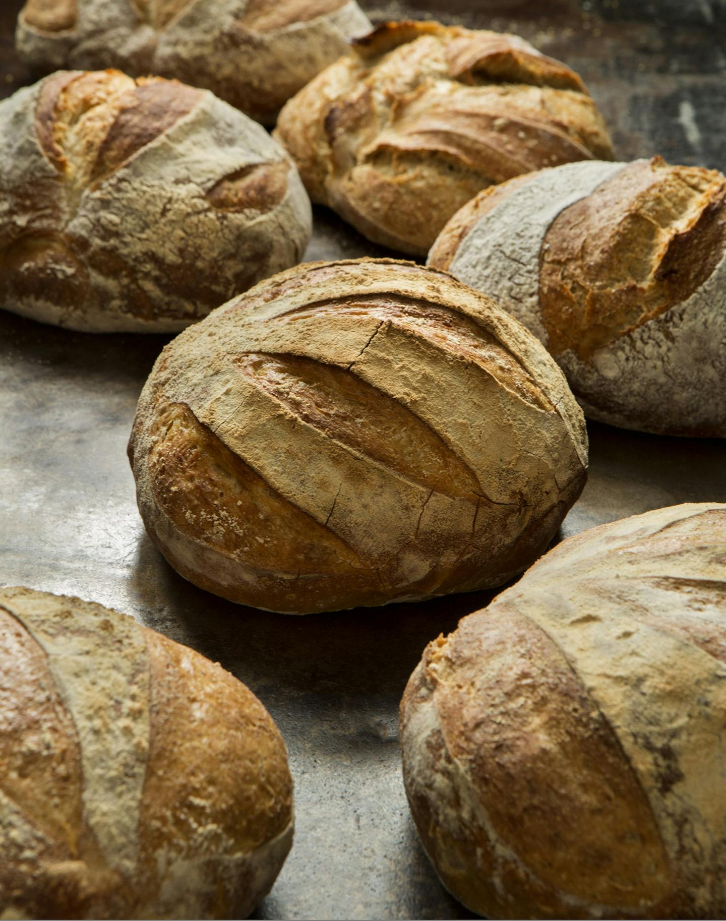 Boules, from "The New Artisan Bread in Five Minutes A Day" by Jeff Hertzberg and Zoe Francois. Photos by Stephen Scott Gross.