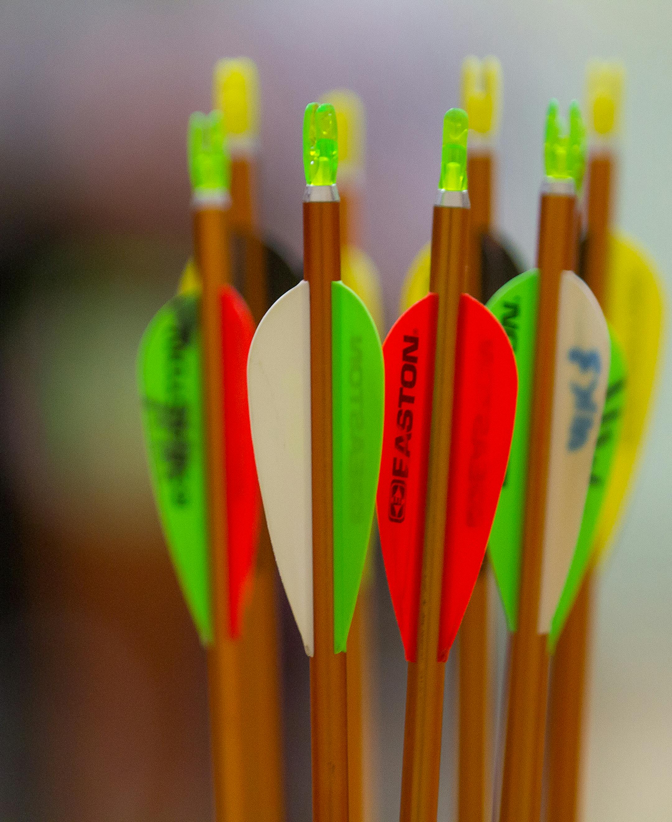 Callie Schroeder, a ninth-grader at New Prague High School, is the 2014 NASP (National Archery in the Schools Program) Minnesota state champion. Her score of 294 out of a possible 300, a personal best, was the highest among the more than 1,100 boys and girls grades 4-12 at the state tournament in Champlin in March. In this photo, each archer shoots 10 arrows at the target either 10 meters or 15 meters away each round. Photo by Mark Hvidsten