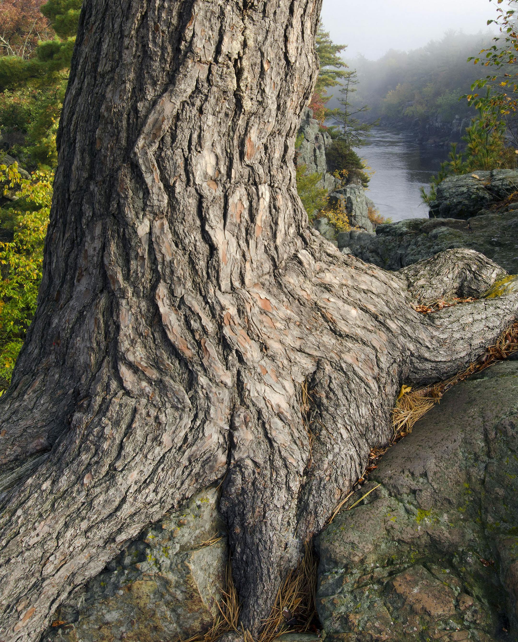 Three St. Croix Valley artists -- Ryan Rodgers of Osceola, Dale Lewis of Hastings and Gabe Schubert of Stillwater -- will be featured in "300 Days in the Watershed" an exhibition at ArtReach St. Croix depicting art inspired by the St. Croix River. 2
