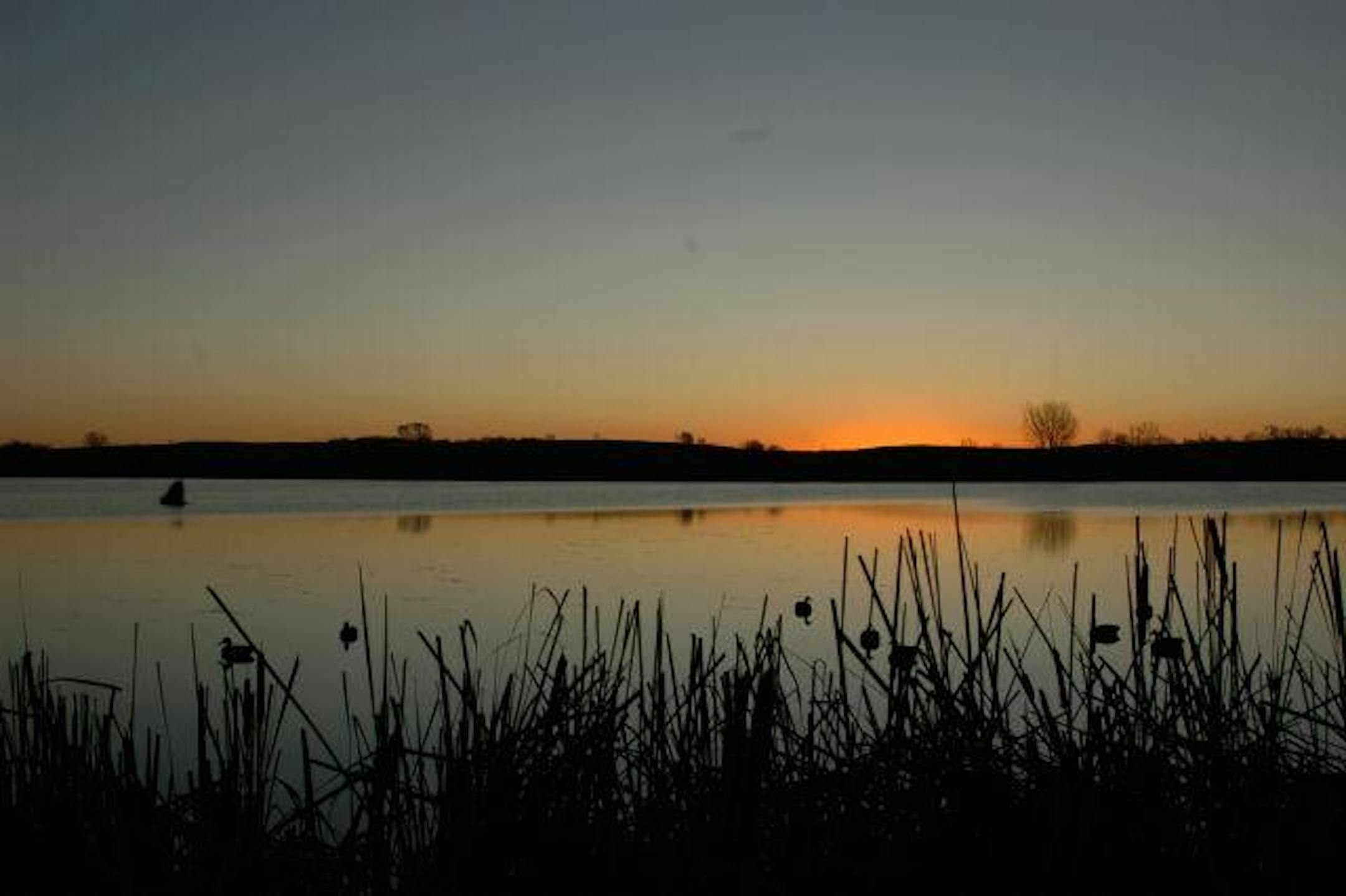 Nirvanna...a rig of decoys and a sunrise.