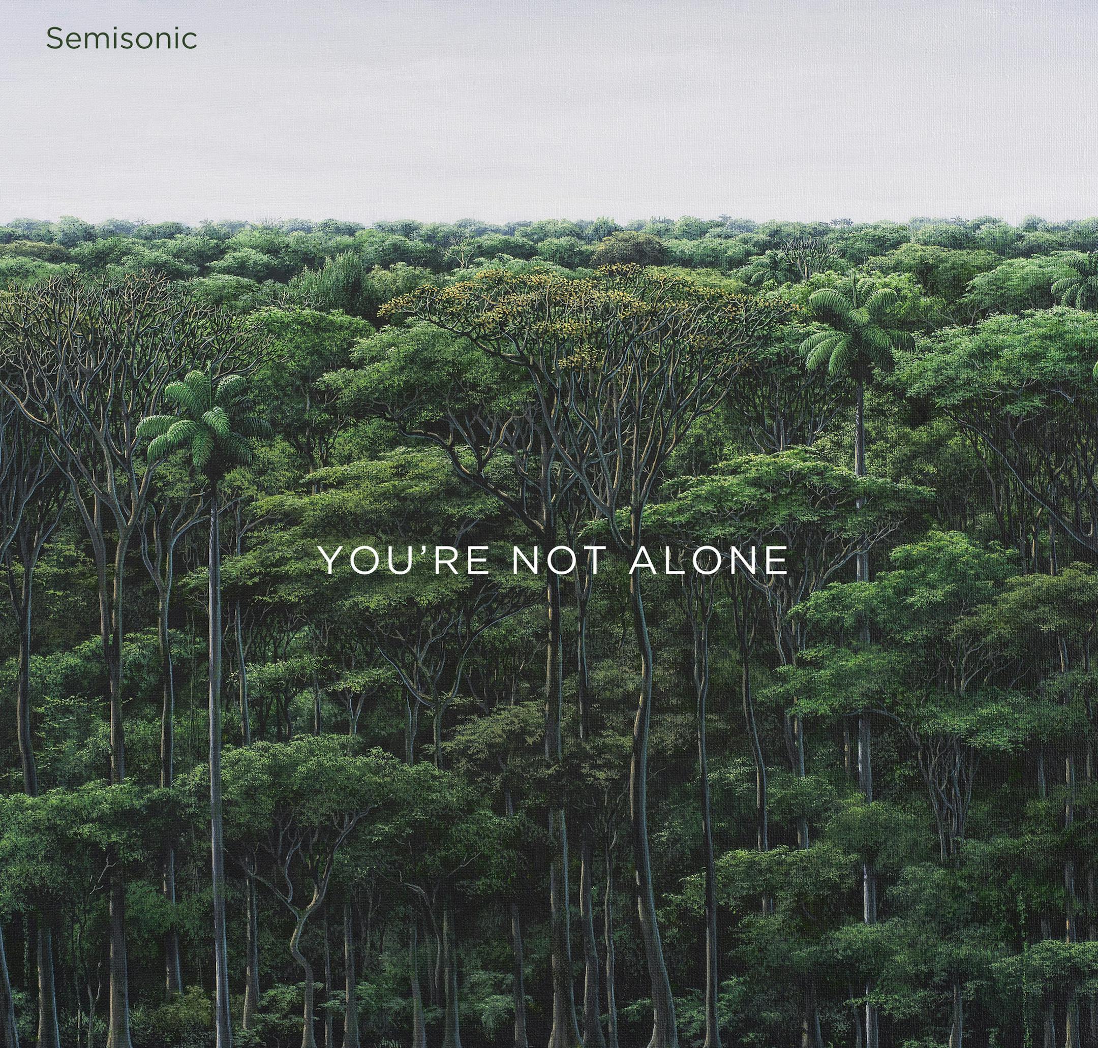 Semisonic "You Are Not Alone" cover. (Photo provided)