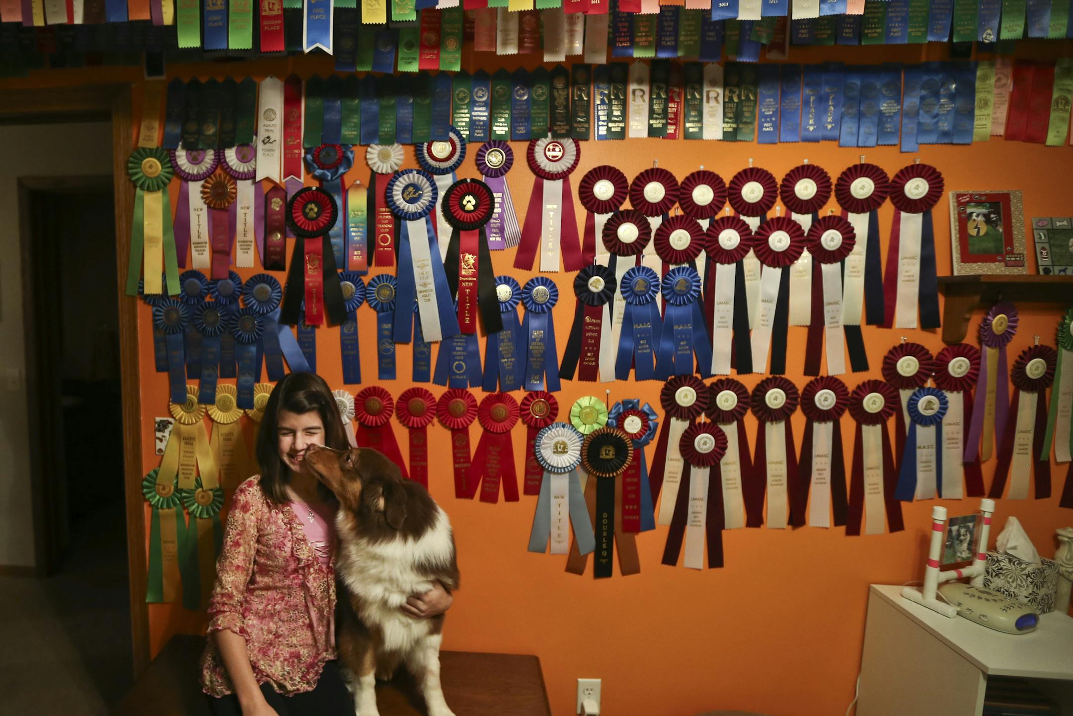 Josie Scoonover-Nelson,13, sits with her dog Fannie, an Australian Shepard, in her bedroom which is filled with her ribbons and awards from dog shows at home on Tuesday, November 12, 2013 in Eden Prairie, Minn. ] RENEE JONES SCHNEIDER • reneejones@startribune.com