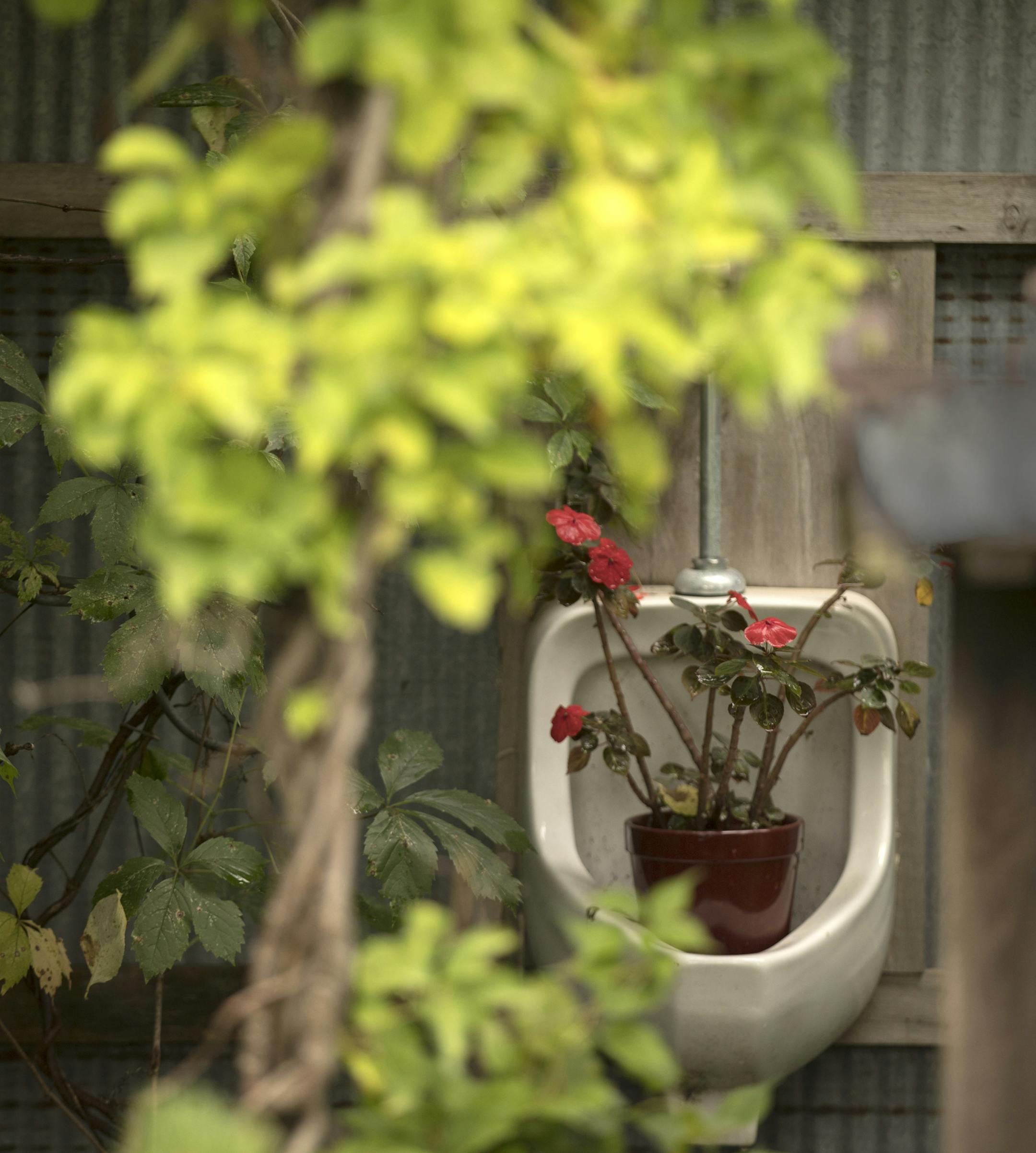 Dan Allensbach and his wife Ferolyn Angell in their garden gallery at their home in Hancock, MN. ] BRIAN PETERSON ï brian.peterson@startribune.com
Hancock, MN 08/19/17