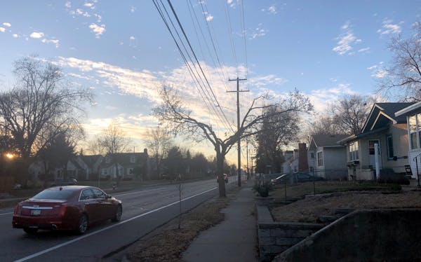 Trees along E. 42nd Street in south Minneapolis have been trimmed severely