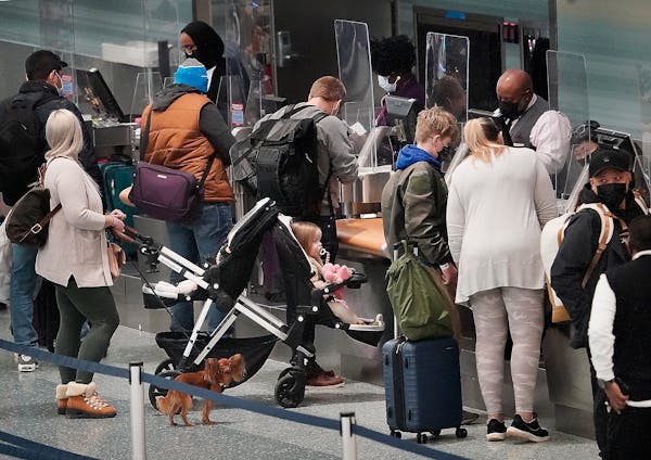 Holiday travelers — human and one canine —waited in line at the Delta ticketing counter of Terminal 1 at the Minneapolis-St. Paul International Ai