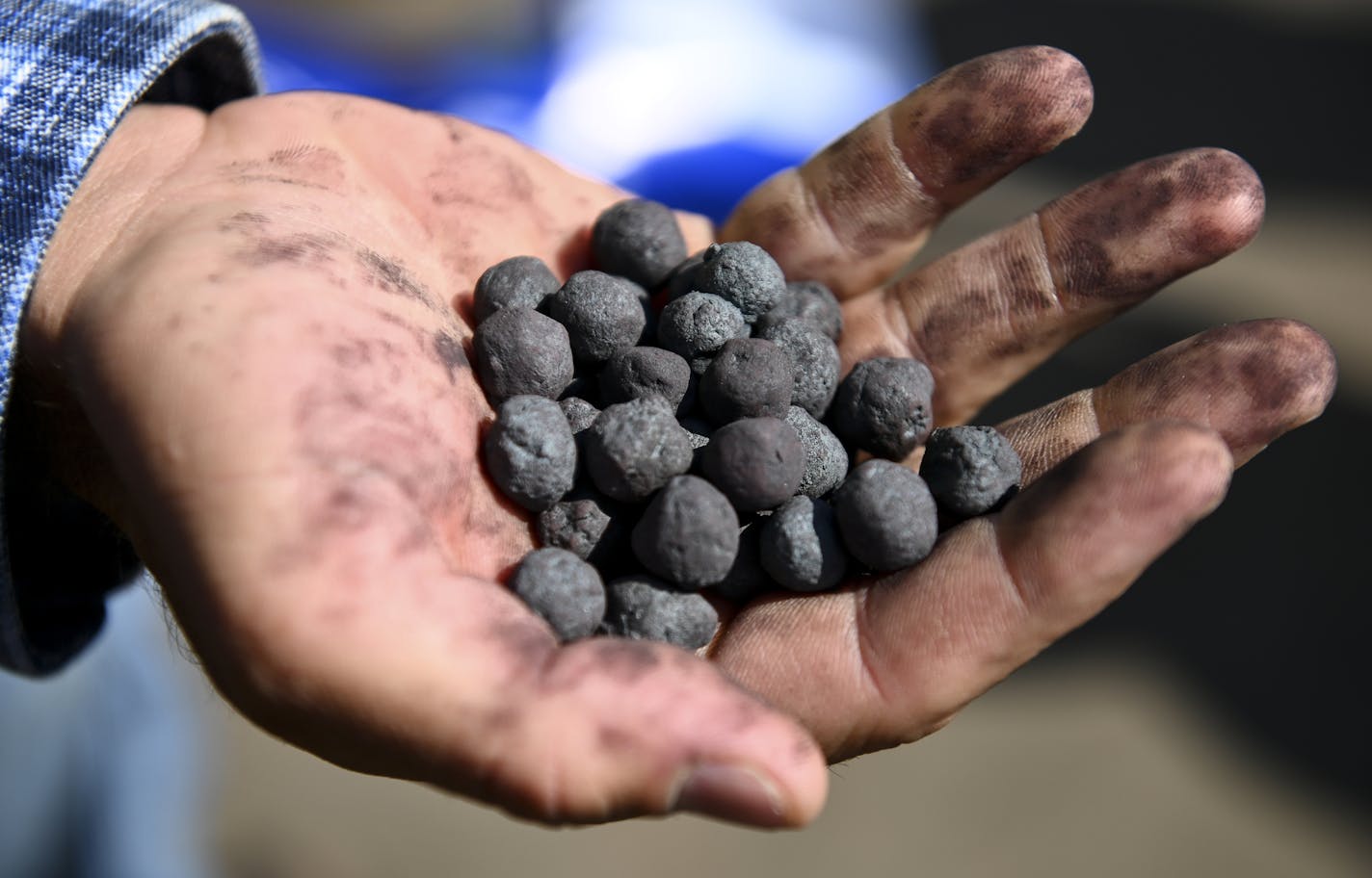 A Cleveland-Cliffs worker held a handful of the company's new DR-grade pellets Tuesday morning. ] Aaron Lavinsky &#xa5; aaron.lavinsky@startribune.com Cleveland-Cliffs held a press conference and ribbon cutting ceremony to celebrate the completion of the company's DR-Grade Pellet Project at Northshore Mining in Silver Bay, Minn on Tuesday, Aug. 6, 2019. Following the ribbon cutting, members of the media were given a tour of parts of the facility.