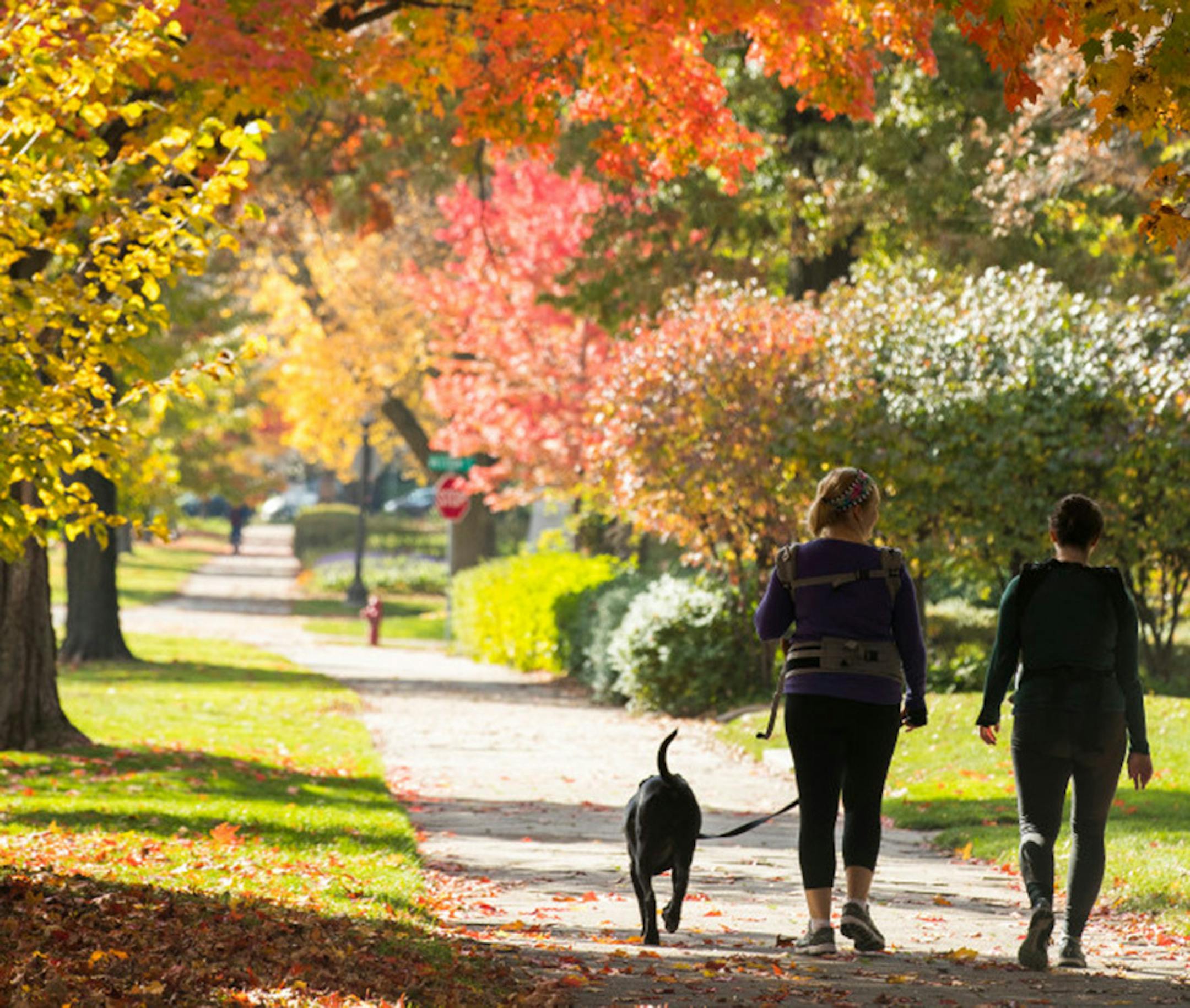 The Summit Hill Association, which represents neighborhoods graced by some of the city's most stately and historic homes, is urging the City Council to hold off on a Wednesday vote that would allow homeowners on lots of at least 5,000 square feet to build what are called accessory dwelling units.