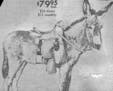 August 4, 1956 Burro From Sears, Roebuck Catalog Friendly and shaggy, brays with gentility The Rev. and Mrs. Glenn Groth and Barbara Modern 'Covered W