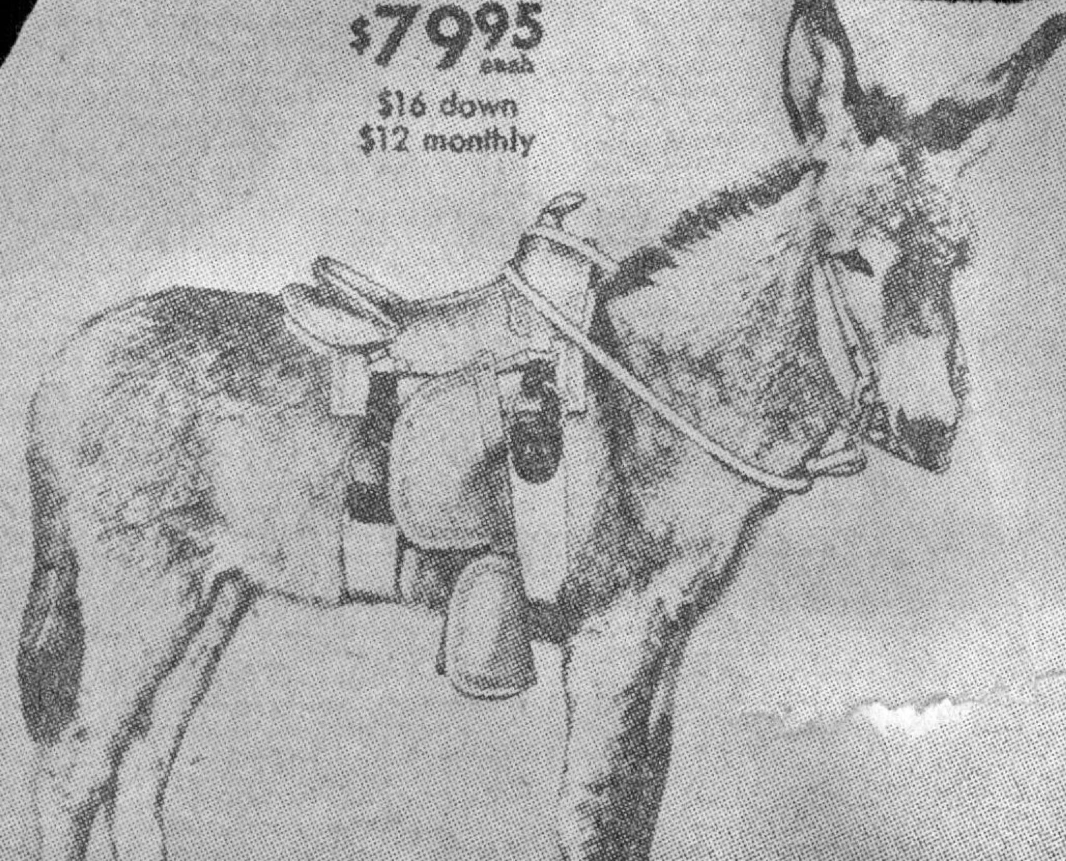 August 4, 1956 Burro From Sears, Roebuck Catalog Friendly and shaggy, brays with gentility The Rev. and Mrs. Glenn Groth and Barbara Modern 'Covered Wagon' leaves for Alaska 'Pioneer Family' Hits Alcan Trail for Church A German-built modern "covered wagon" left Friday for Anchorage, Alaska, with a 34-year-old Lutheran paste and his family aboard.