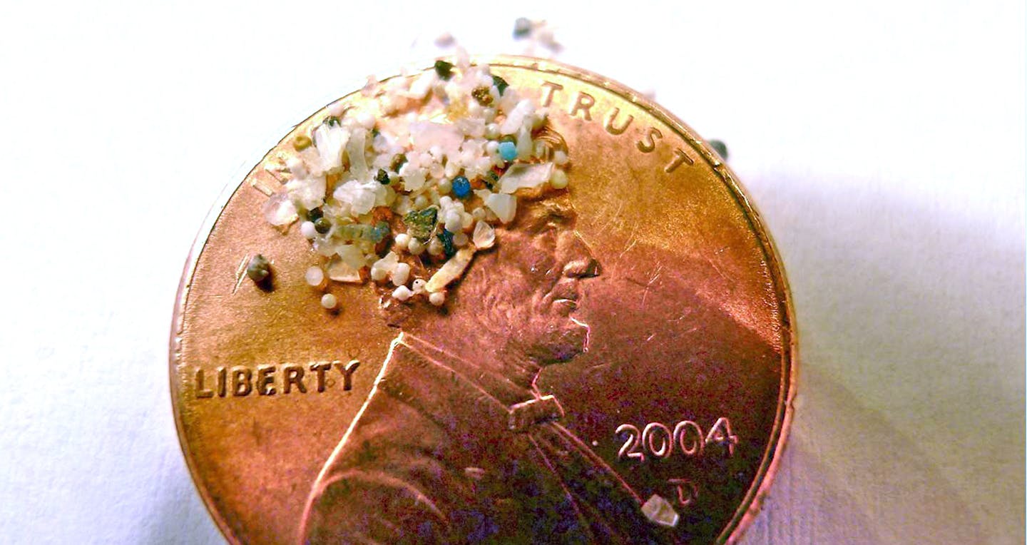 Microbeads like these found in Lake Erie are used in toothpaste and facial cleanser. They flow into our waters, where they are eaten by fish and enter the human food chain.