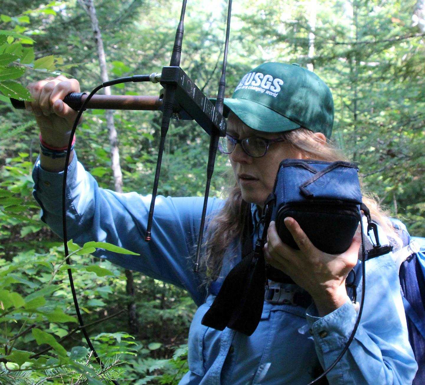 Shannon Barber-Meyer, 43, is a research wildlife biologist for the U.S. Geological Survey. She used telemetry to help her locate a collar wolf.