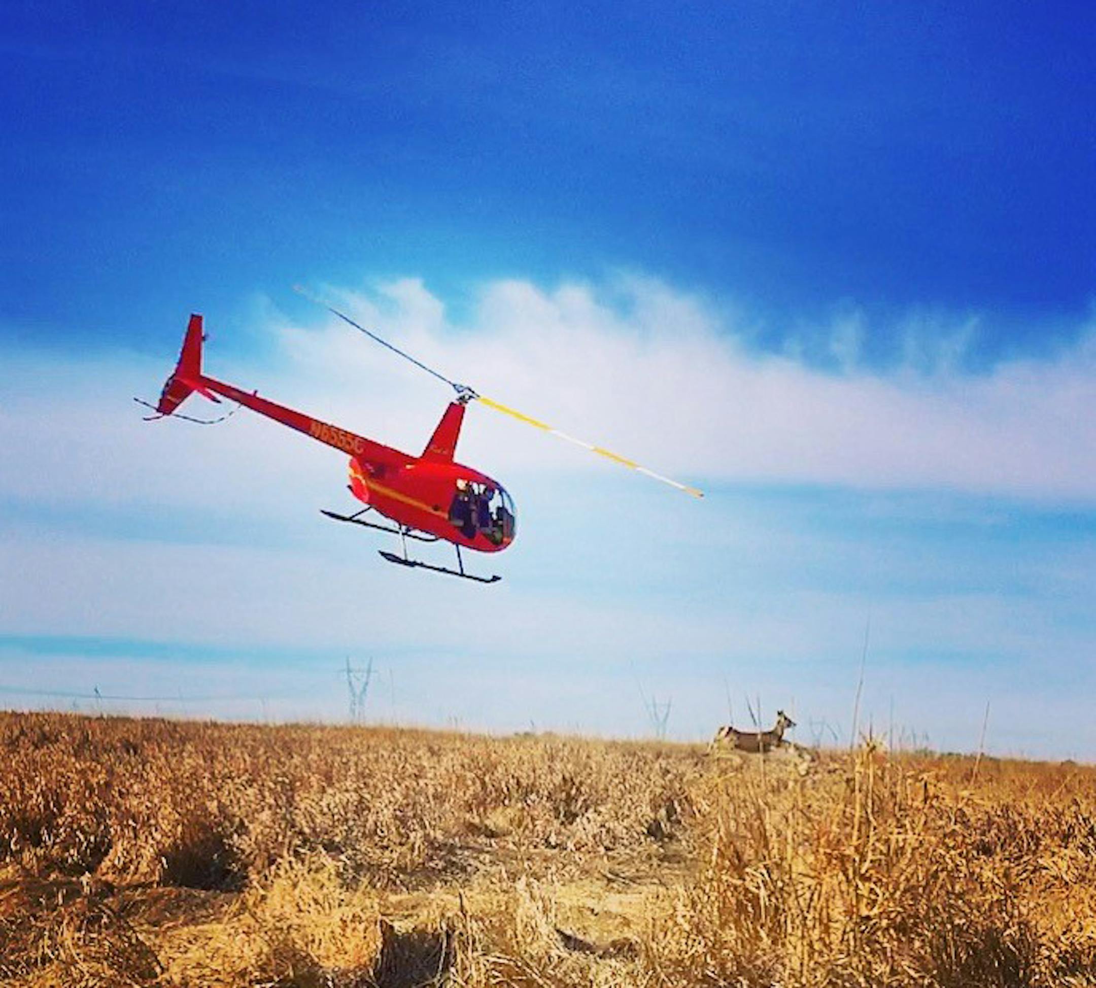 The same Hells Canyon Helicopter seen here in pursuit of a deer in South Dakota is at work in southeastern Minnesota this week. The DNR wants GPS collars placed on 115 deer in and around the chronic wasting disease zone in Fillmore County.