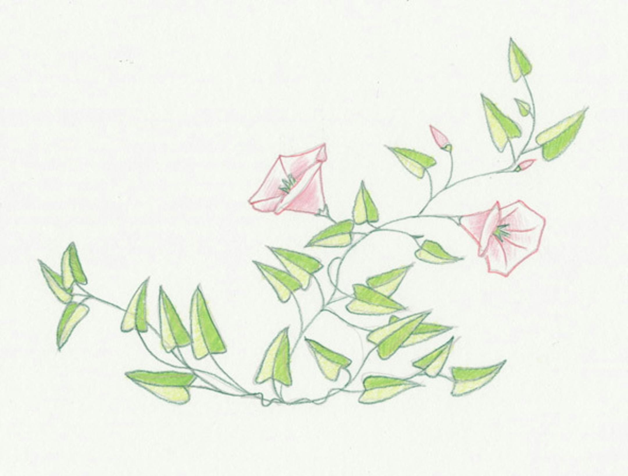 It looks pretty, but it's a menace.