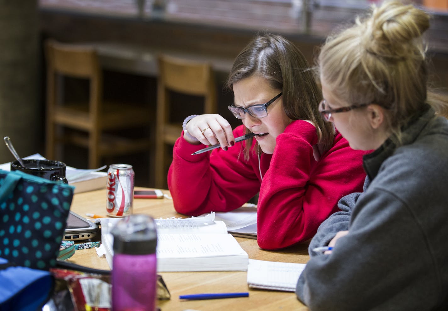 Jane Bishop, left, and Jana Norgren, both elementary education graduate students, study together at Magrath Library on University of Minnesota Twin Cities campus in Falcon Heights on Wednesday, December 16, 2015. ] (Leila Navidi/Star Tribune) leila.navidi@startribune.com