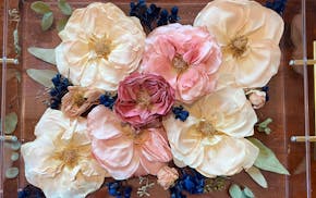 A submitted photo shows some dried flowers intended to be preserved in resin by a Minnesota-based preservationist.