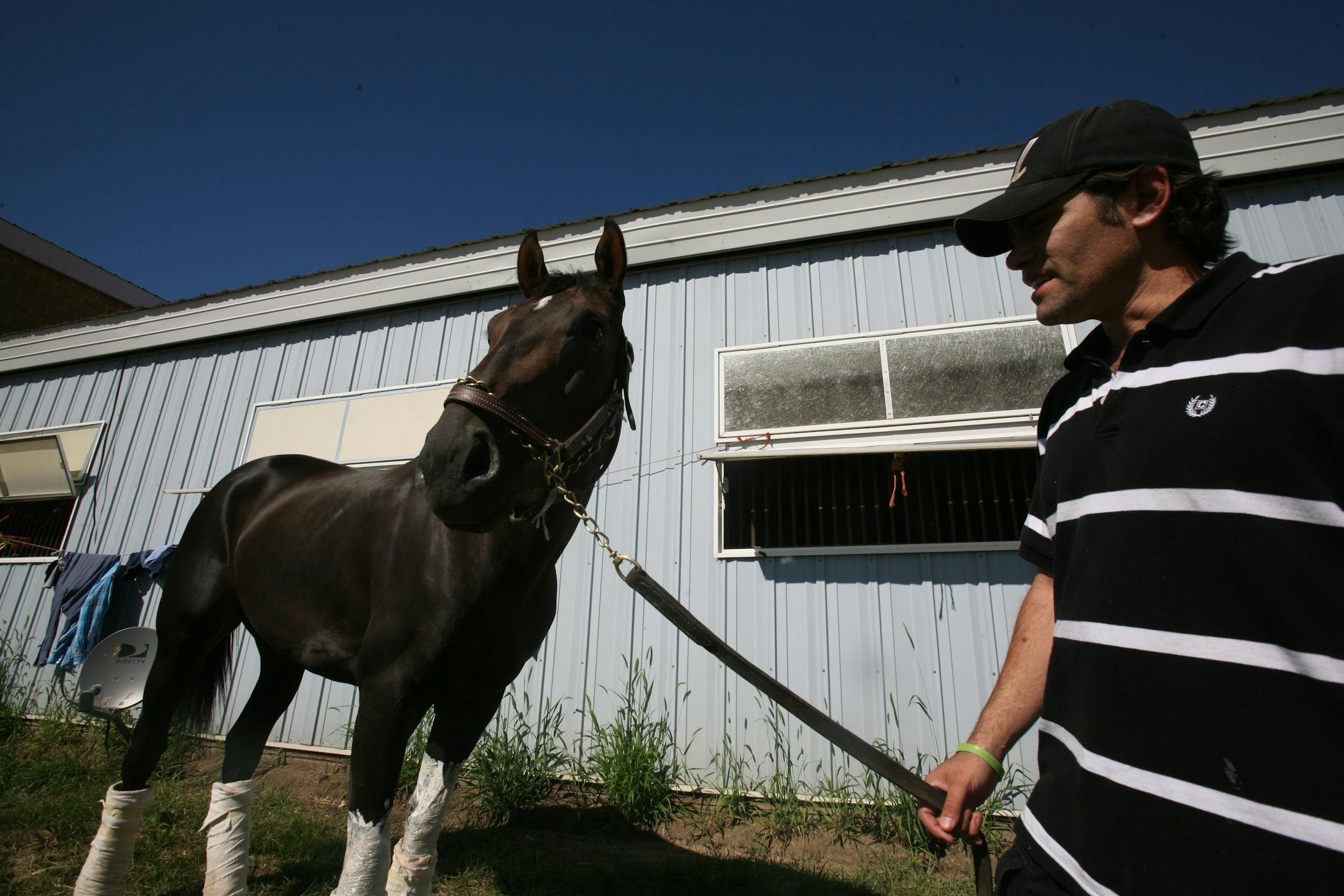 Trainer Manuel Uriza walked four year-old Hopetown Hero at Canterbury Park. Uriza is the grandson of Laz Barrera, trainer of Affirmed, the last horse to win the Triple Crown.