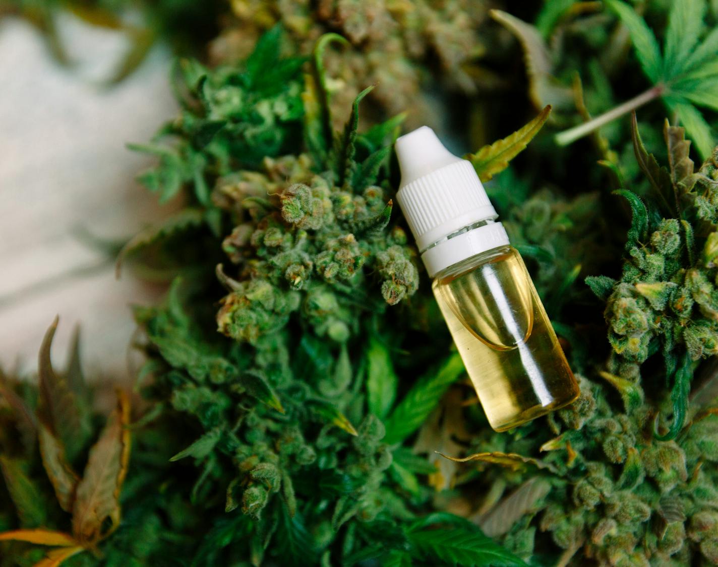 Medicinal cannabis with extract oil in a bottle. istock