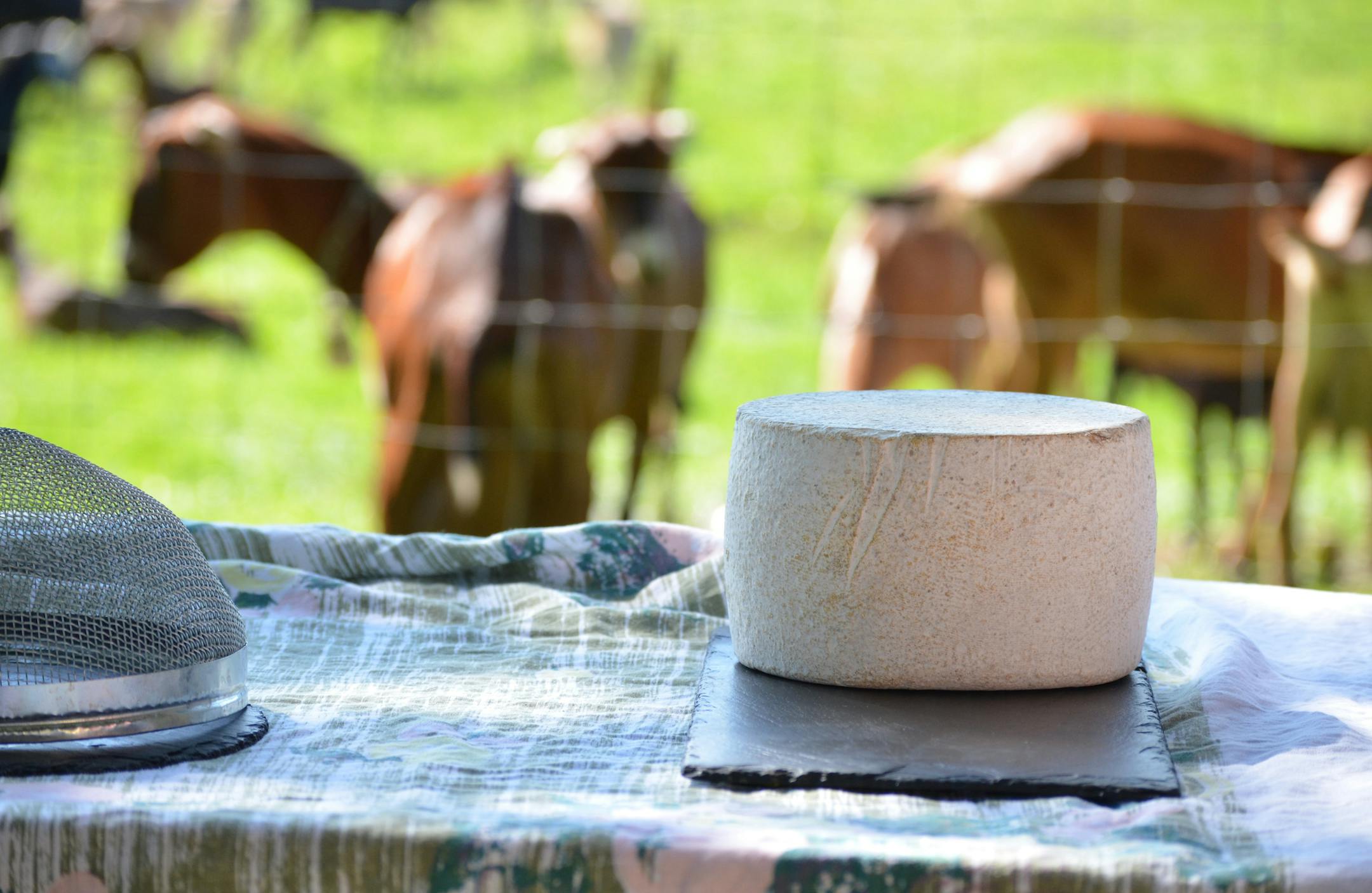 Door County Creamery