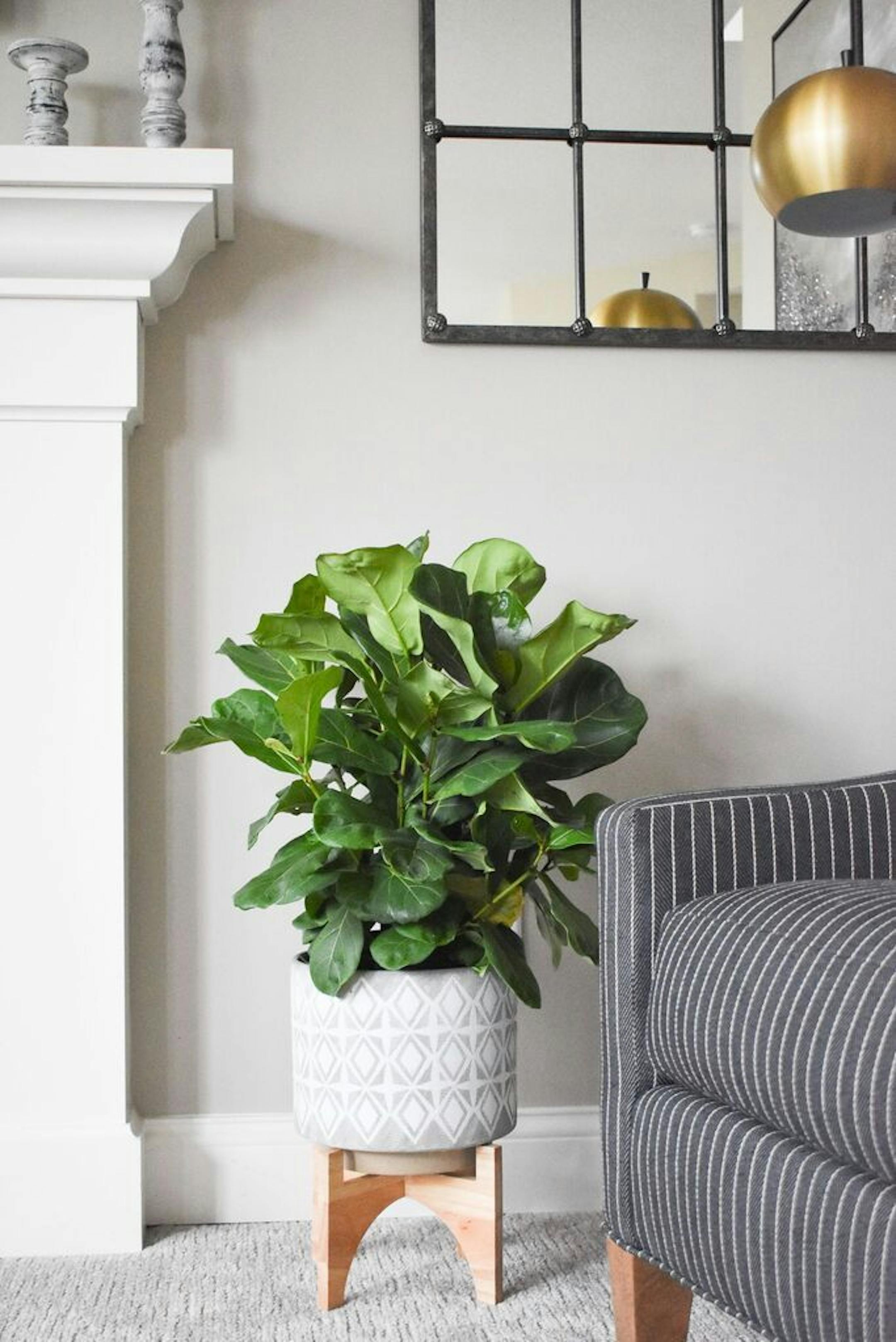 Living room detail.