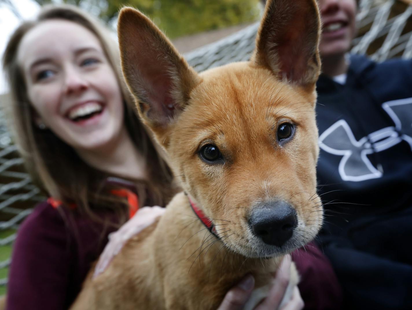 A Minnesota family adopted Diego from Korea.