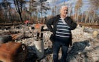 On her first visit to the site since the fire, Sandy Signorelli stood quietly among the ash that was the family cabin on Middle McDougal Lake.