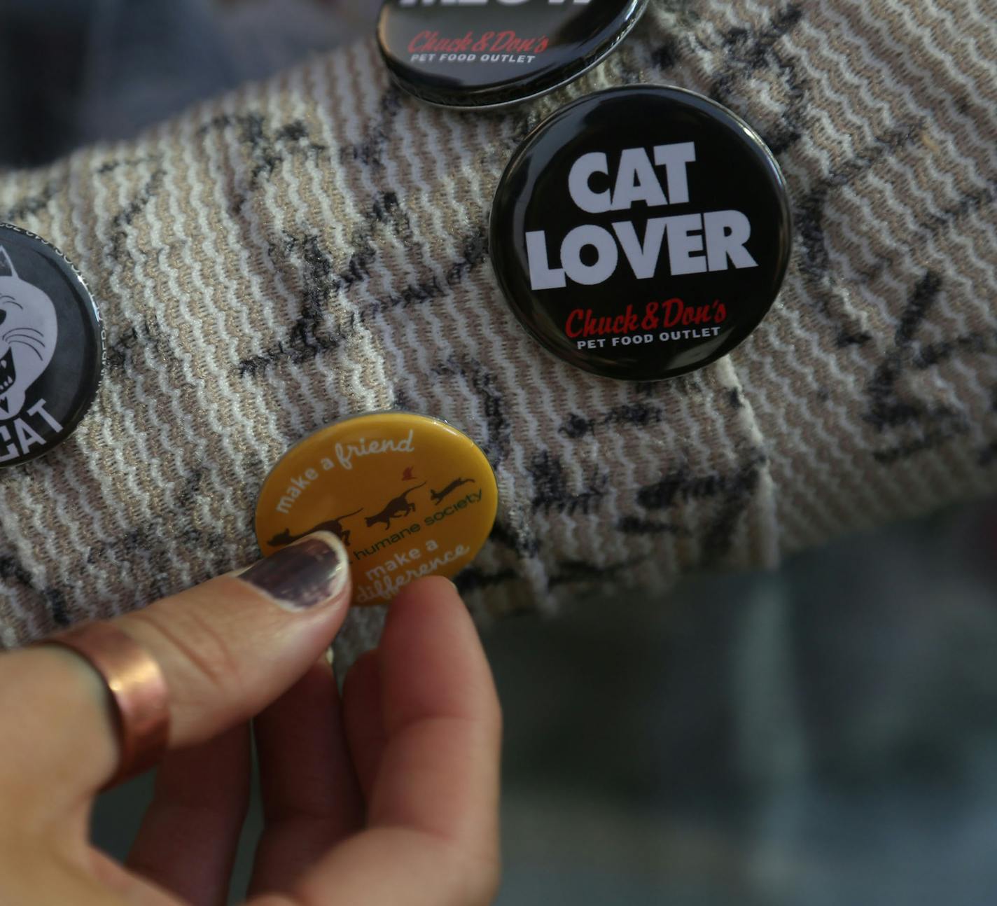 Brianna Forcier, 19, of Minneapolis got more pins attached to her cast during the Cat Video Festival hosted by the Walker Arts Center. ] (KYNDELL HARKNESS/STAR TRIBUNE) kyndell.harkness@startribune.com Cat video festival at CHS Field in St Pauls, Min., Wednesday August 12, 2015.