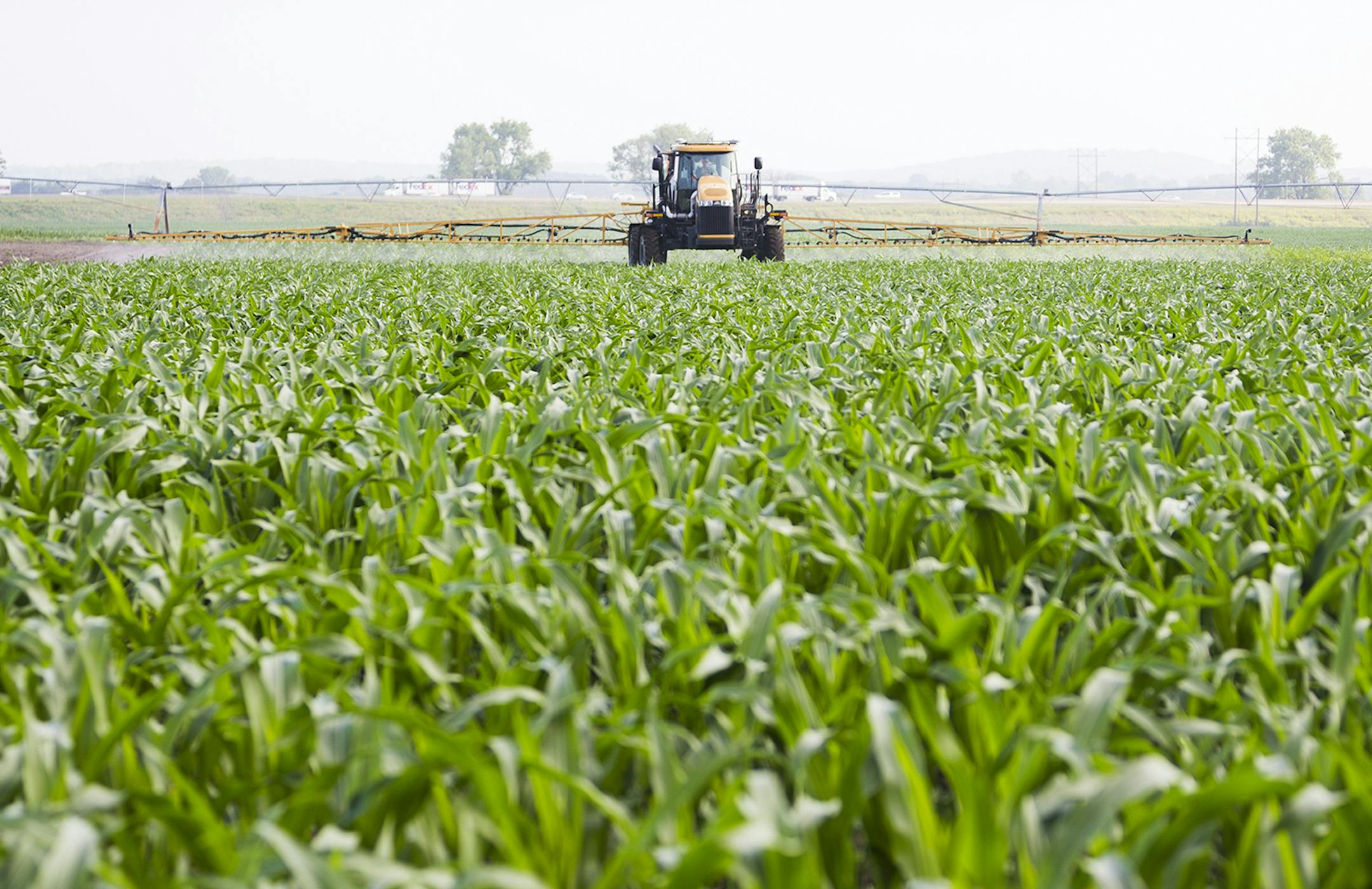 Enlist Duo, manufactured by DowAgrosciences, could become an important competitor to Monsanto‚Äôs popular Roundup Ready system that has dominated the corn and soybean market since the late 1990s. Provided by Dow AgroSciences ORG XMIT: MIN1410221716563914