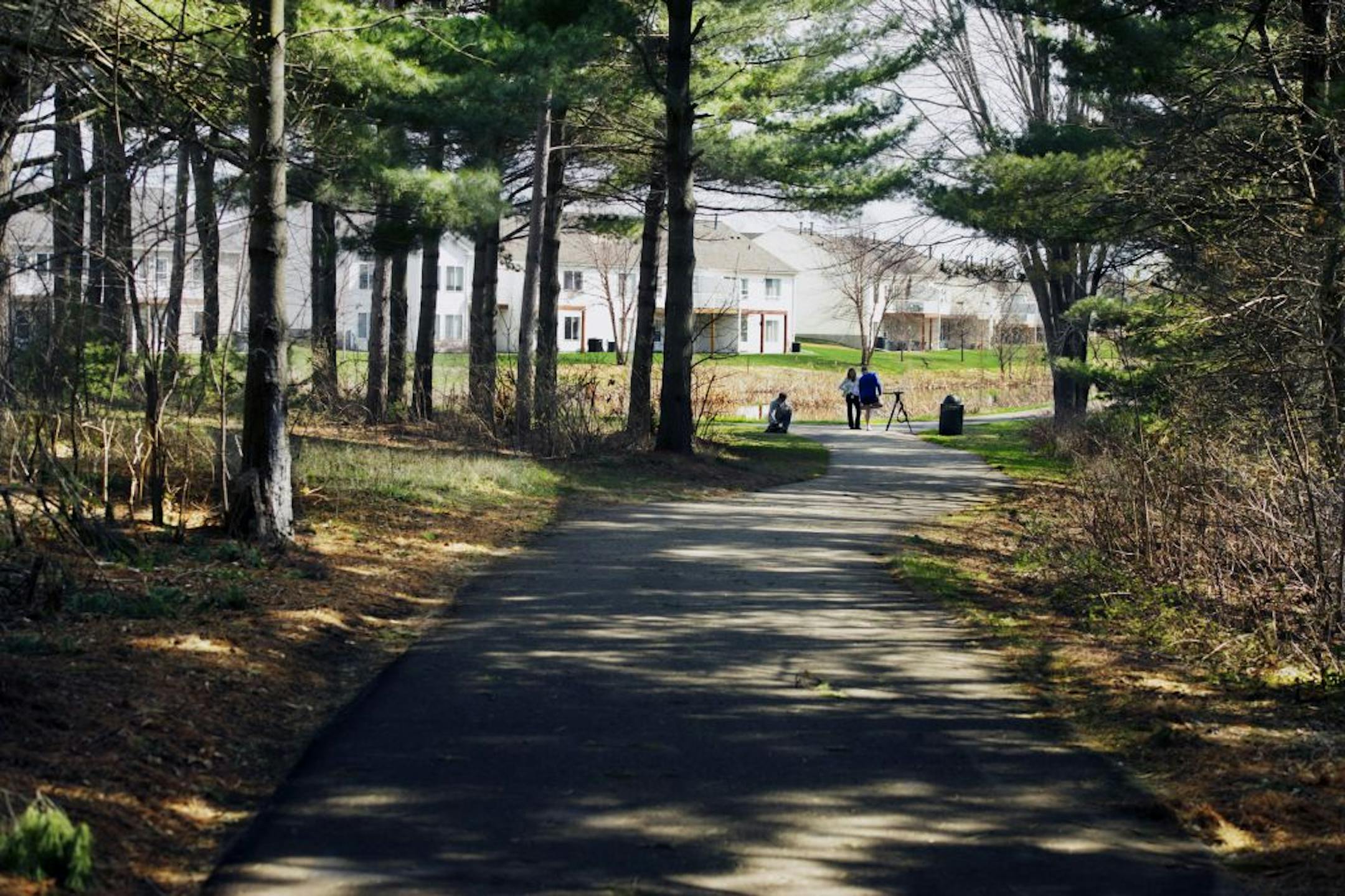 A 33-year-old woman jogging about 5:30 a.m. Saturday was sexually assaulted near this walking path in Markgrafs Lake Park in Woodbury, yards away from the nearest home. No arrests have been made.