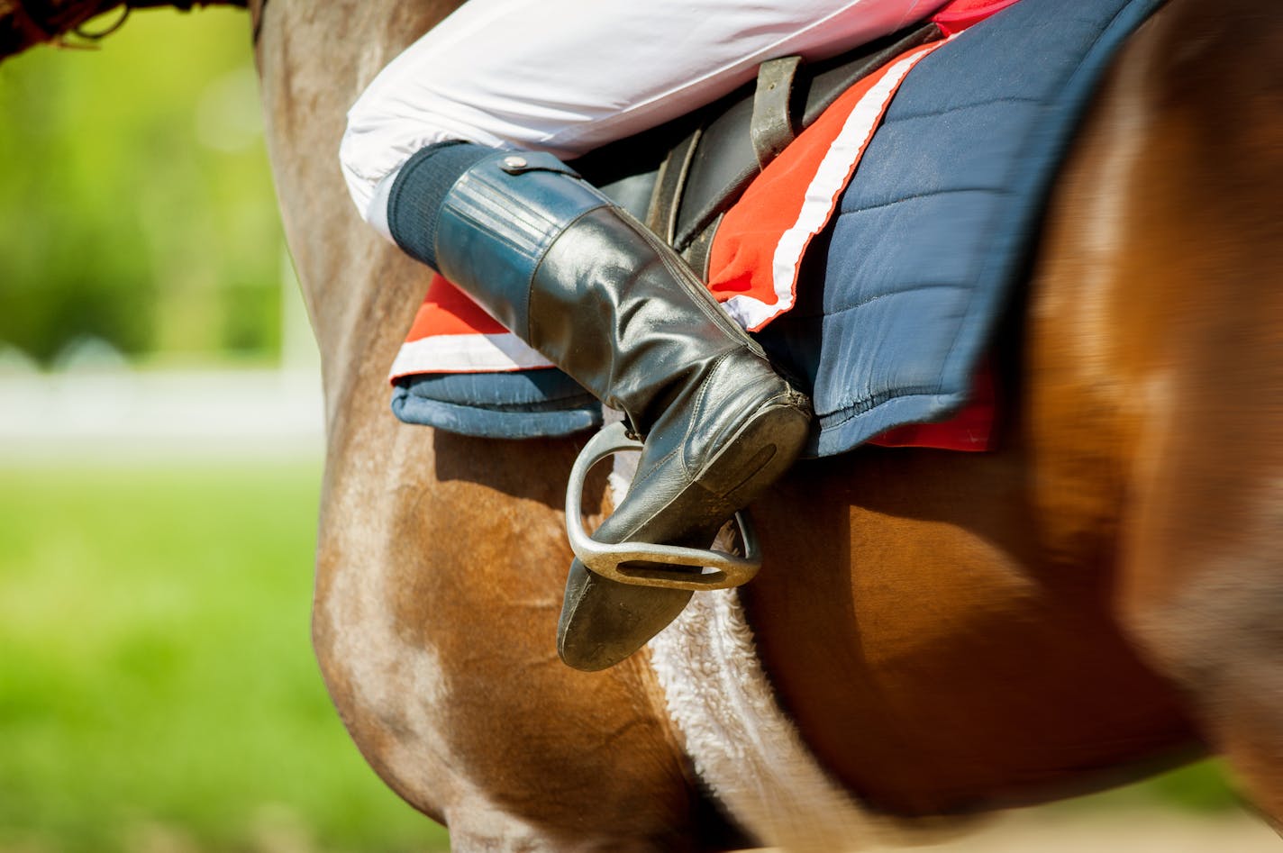 Horse racing (Dreamstime/TNS)