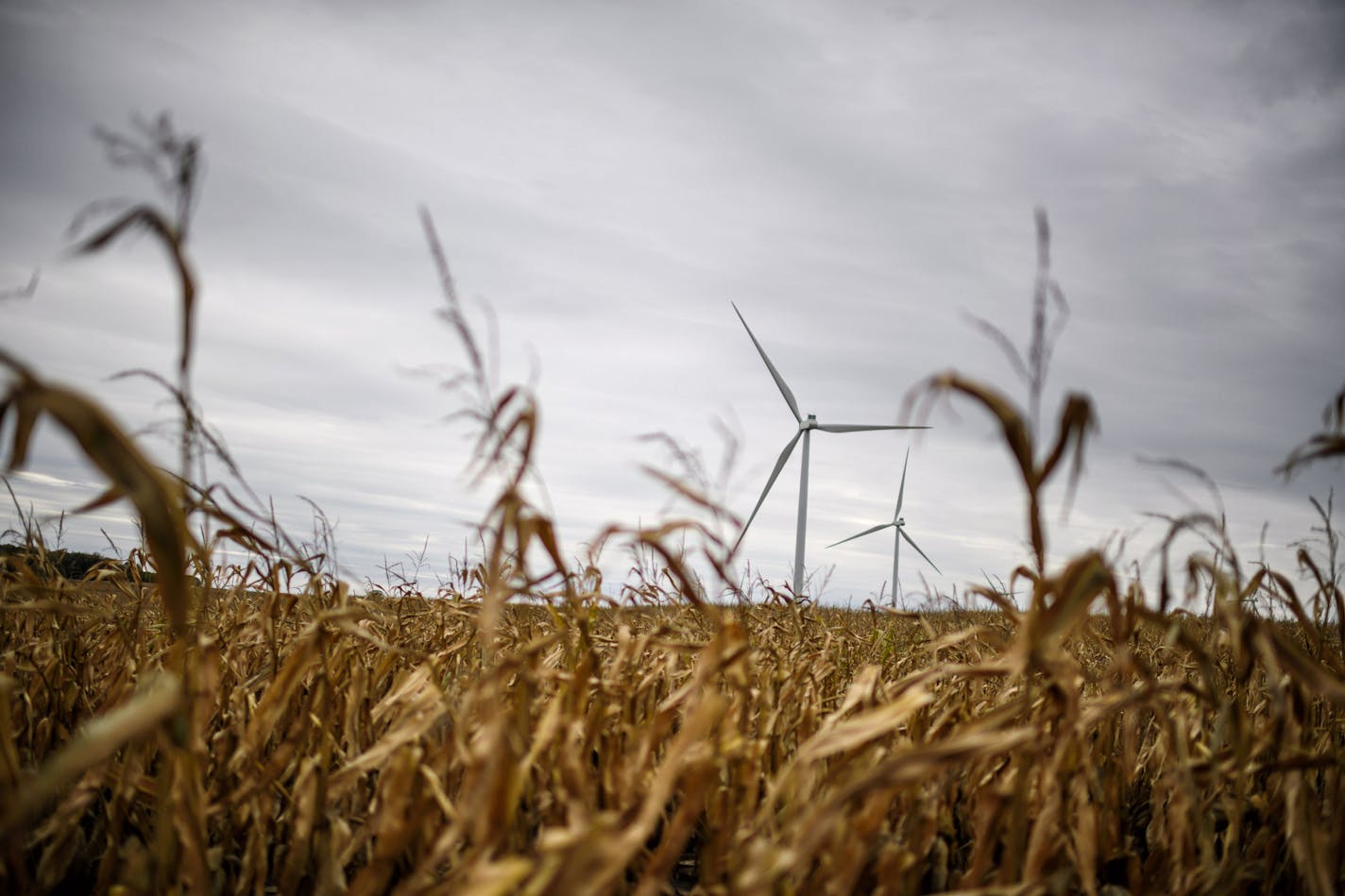 Nearly half of Minnesota's electricity in 2019 came from non-carbon emission sources, such as wind and solar. File photo of a wind turbine near Sauk Centre.