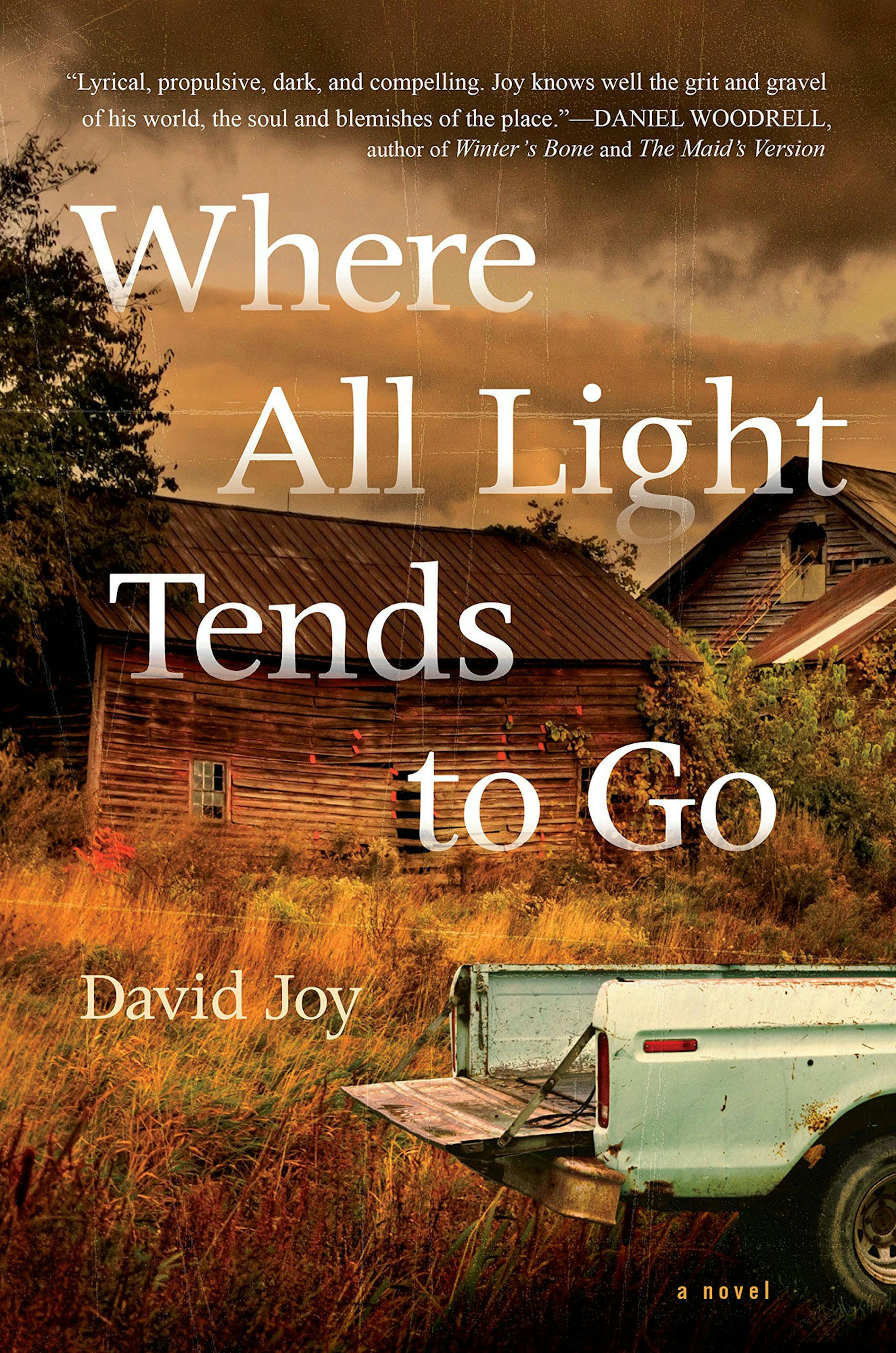 "Where All the Light Tends to Go" by David Joy