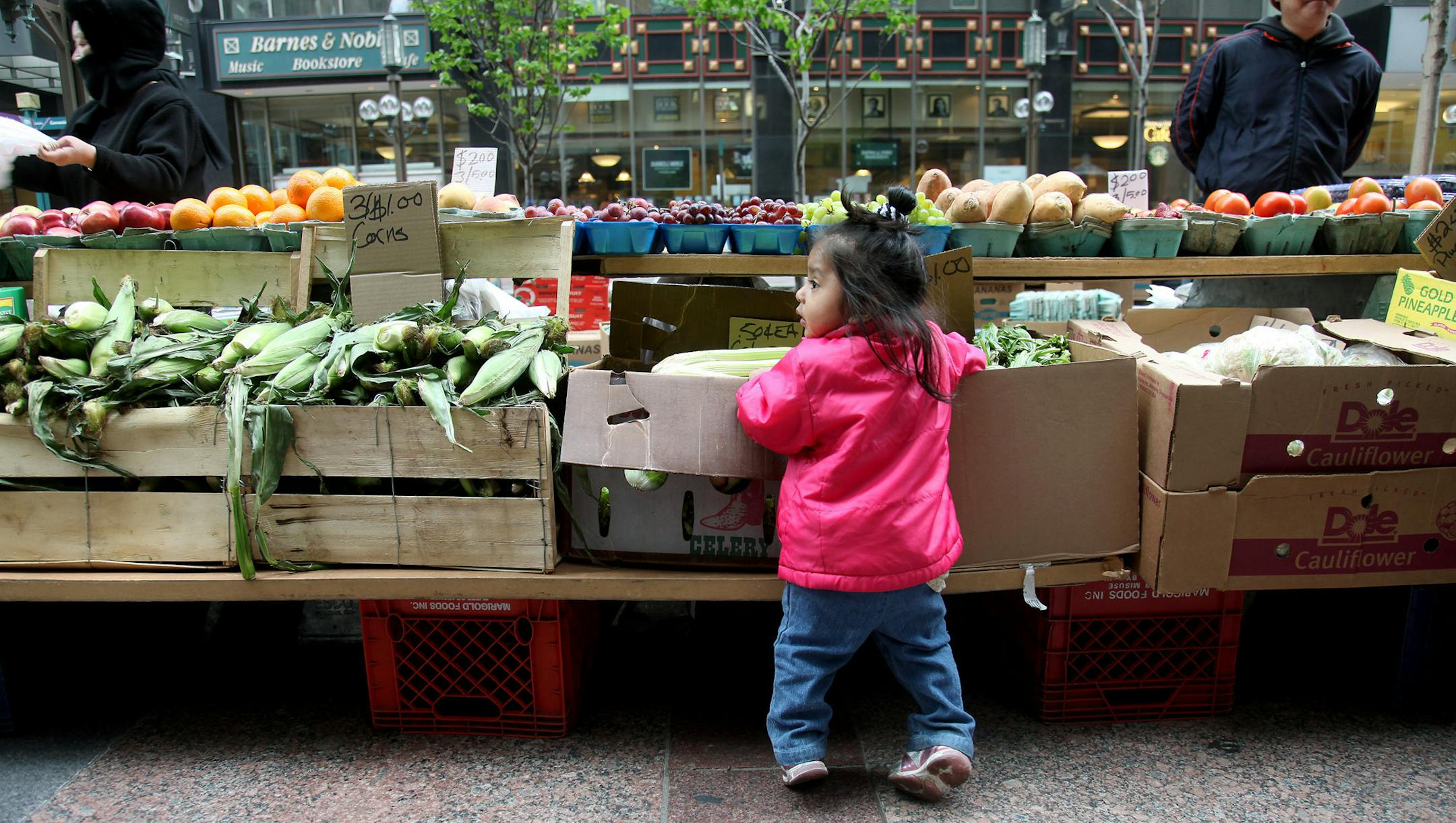 ELIZABETH FLORES ¬• eflores@startribune.com April 29, 2010 - Minneapolis, MN - First day of downtown farmer's market. IN THIS PHOTO :] One-year-old Ruby Alarcon of Minneapolis searched for grapes at a fruit stand during the first day of the farmer's market. Alarcon was shopping with her mother Mariana Estrada. ORG XMIT: MIN2014080412090119