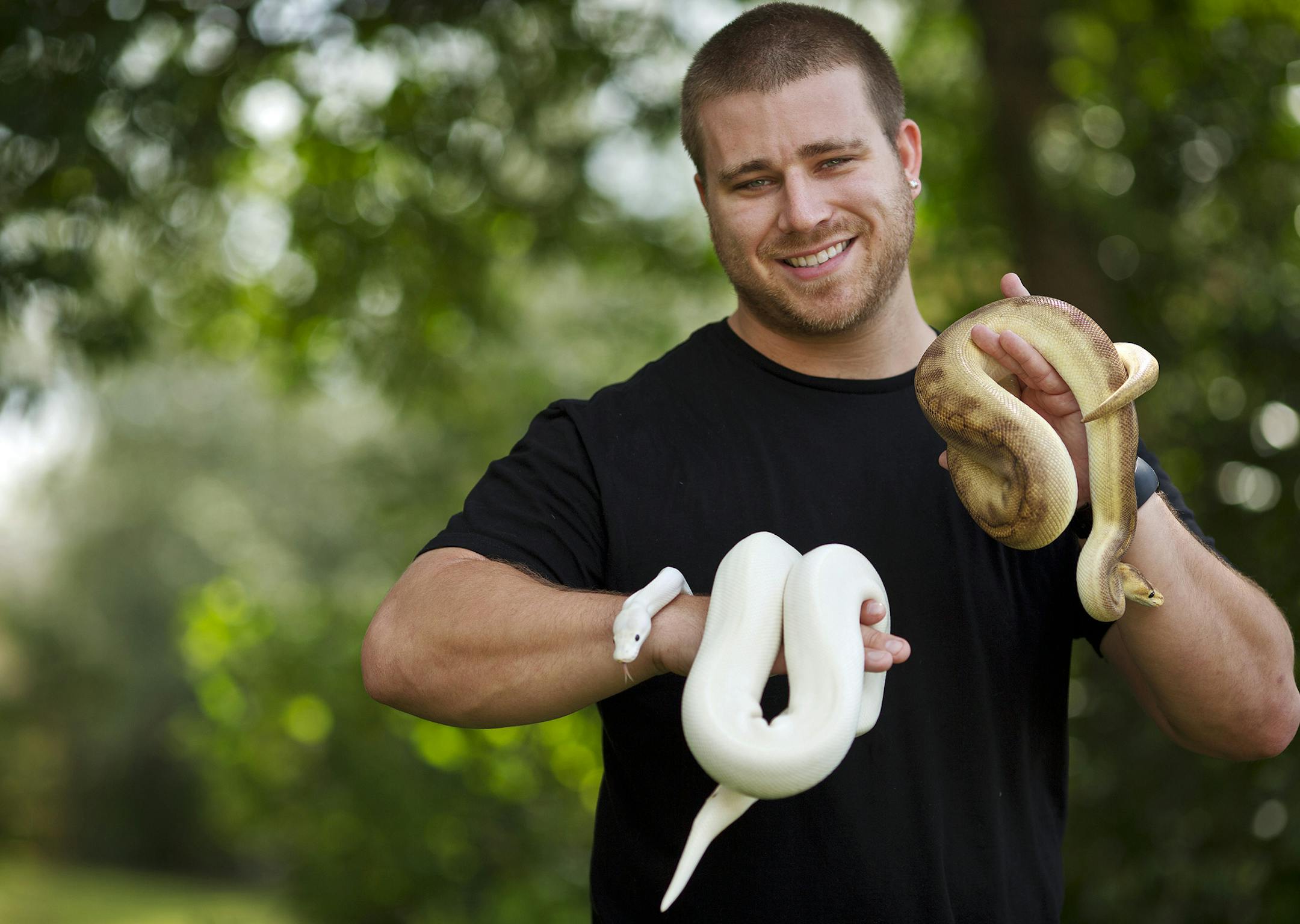 P.J. Suss holds an Ivory Ball Python, left, and a Champagne Ball Python on August 28, 2015 in Orlando, Fla. Suss raises and breeds ball pythons as a business and doesn't think that a snake can be a service animal. (Jacob Langston/Orlando Sentinel/TNS) ORG XMIT: 1173263