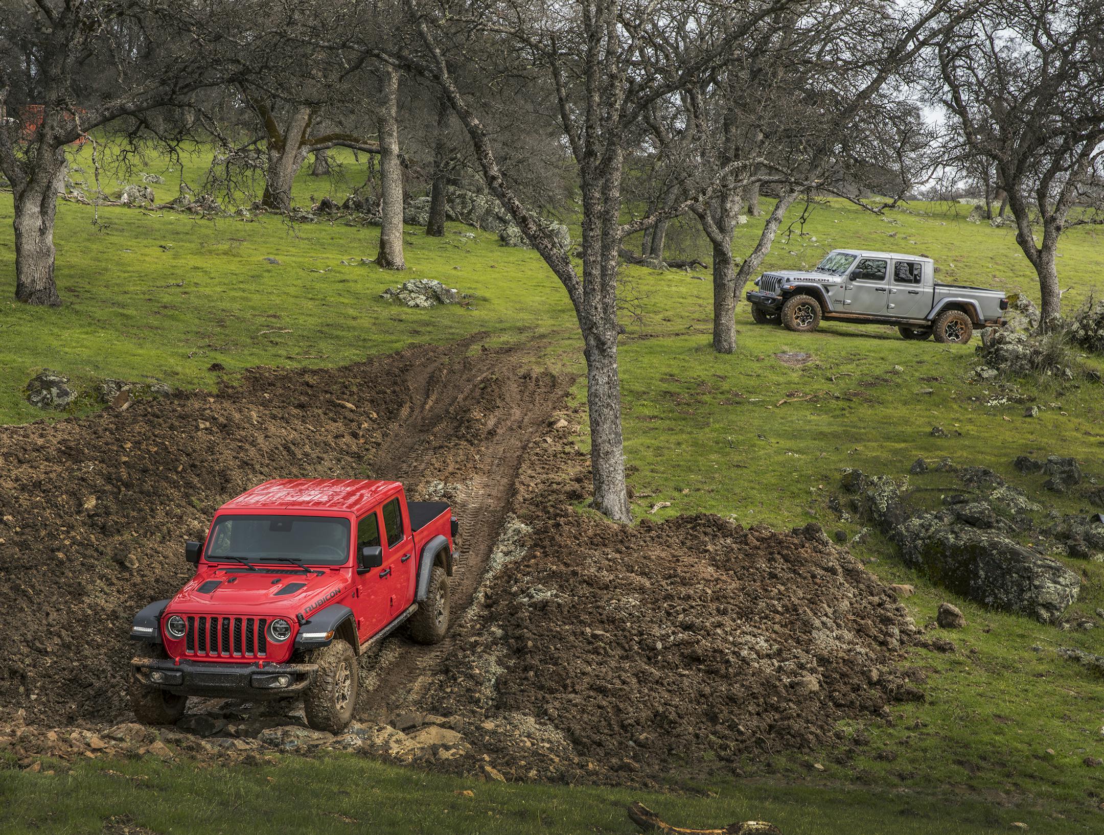 2020 JeepAE Gladiator Rubicon (Jeep/TNS)