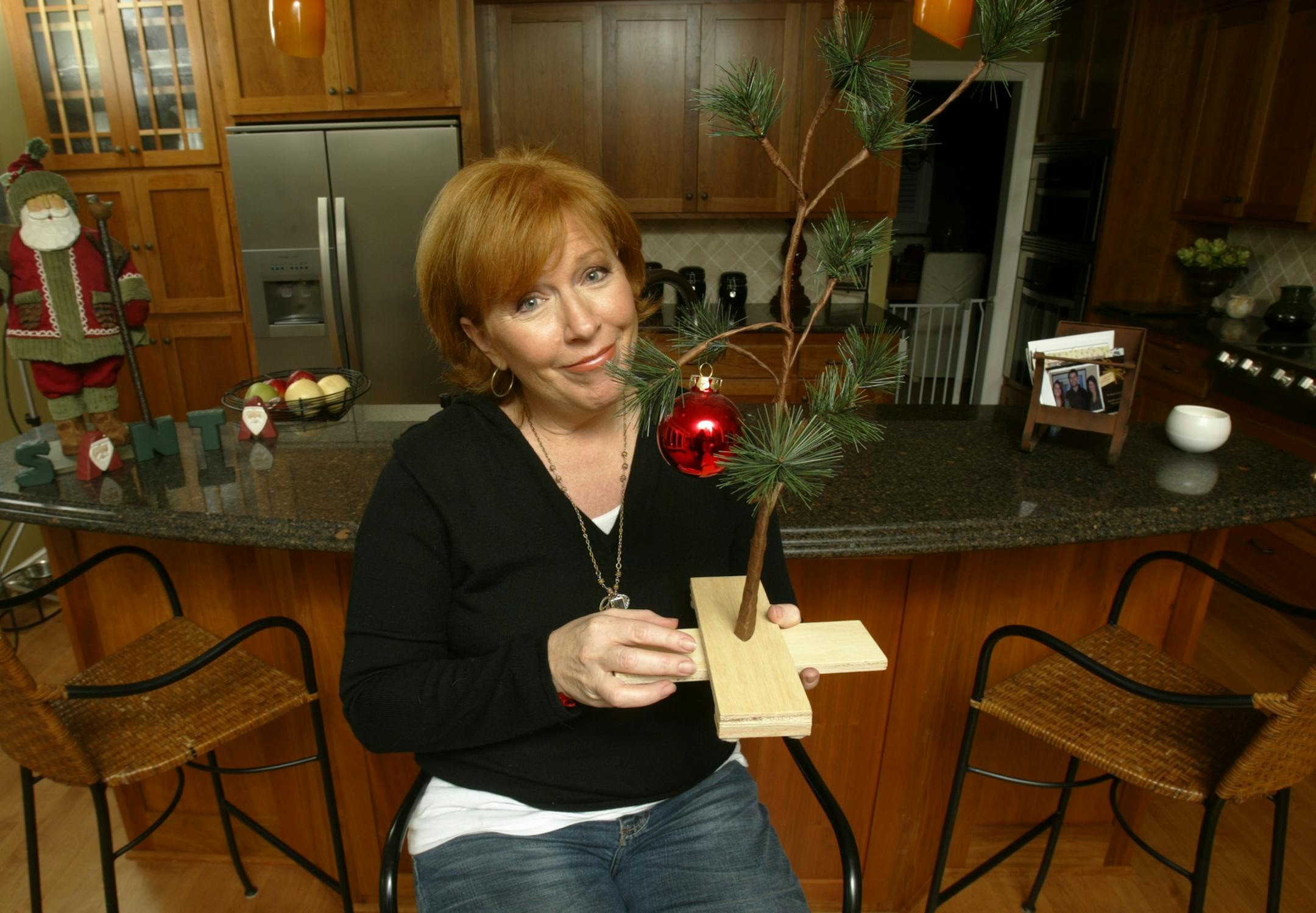 Joan Steffend in her favorite room, the recently remodeled kitchen.
