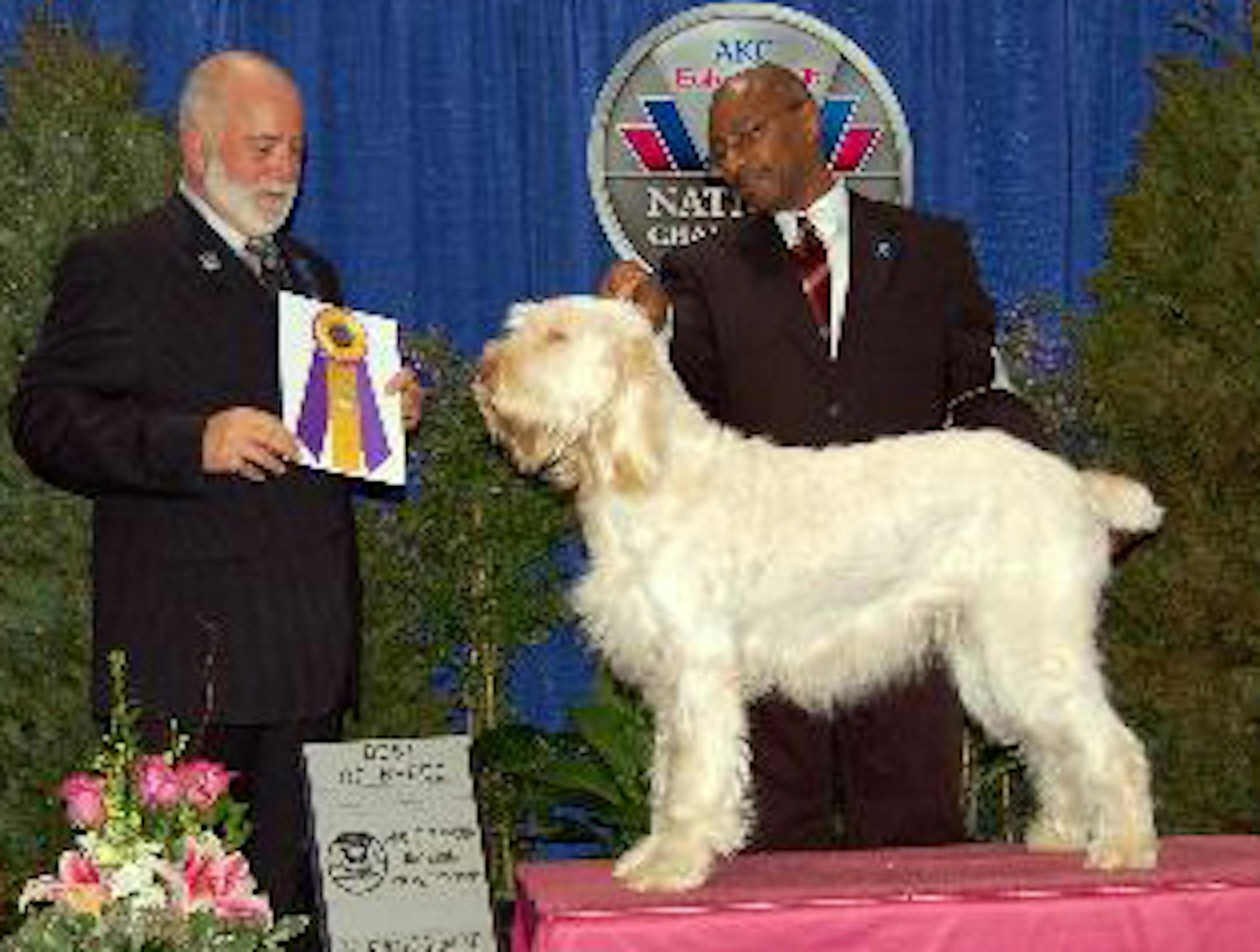 Daryl Cooper and his dog Stella in an earlier competition.